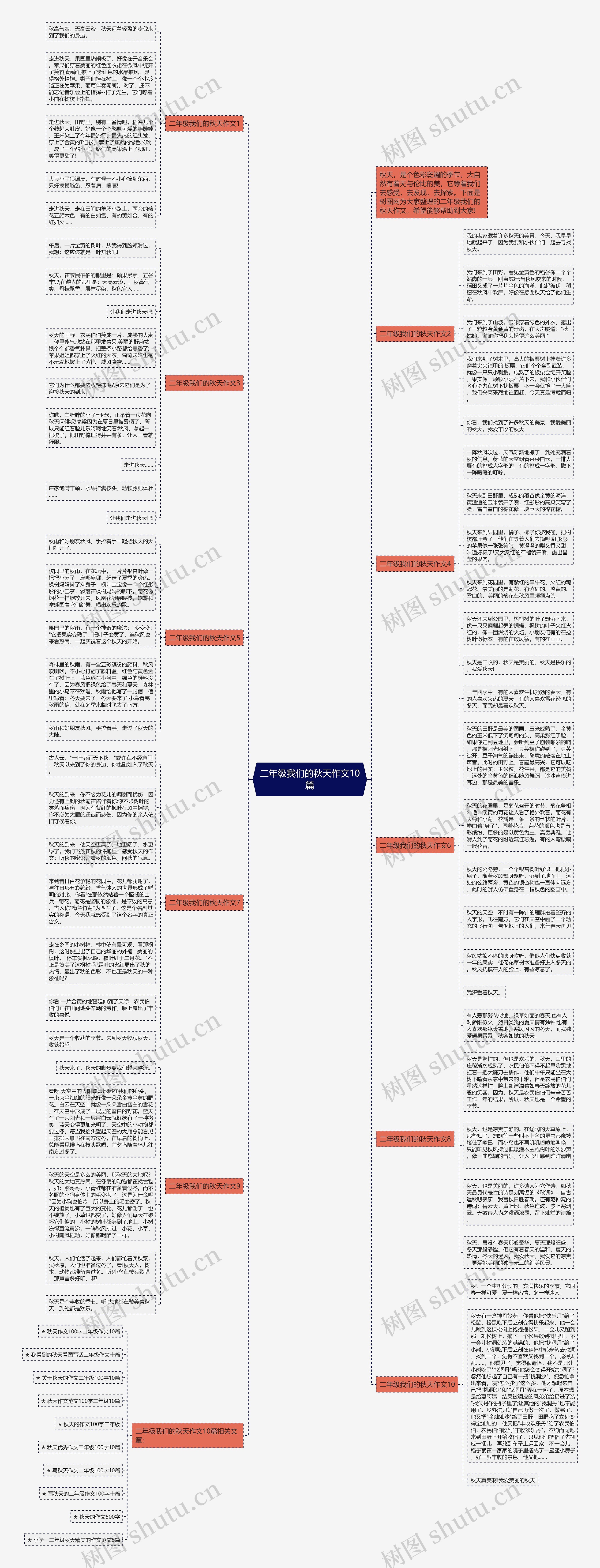 二年级我们的秋天作文10篇思维导图
