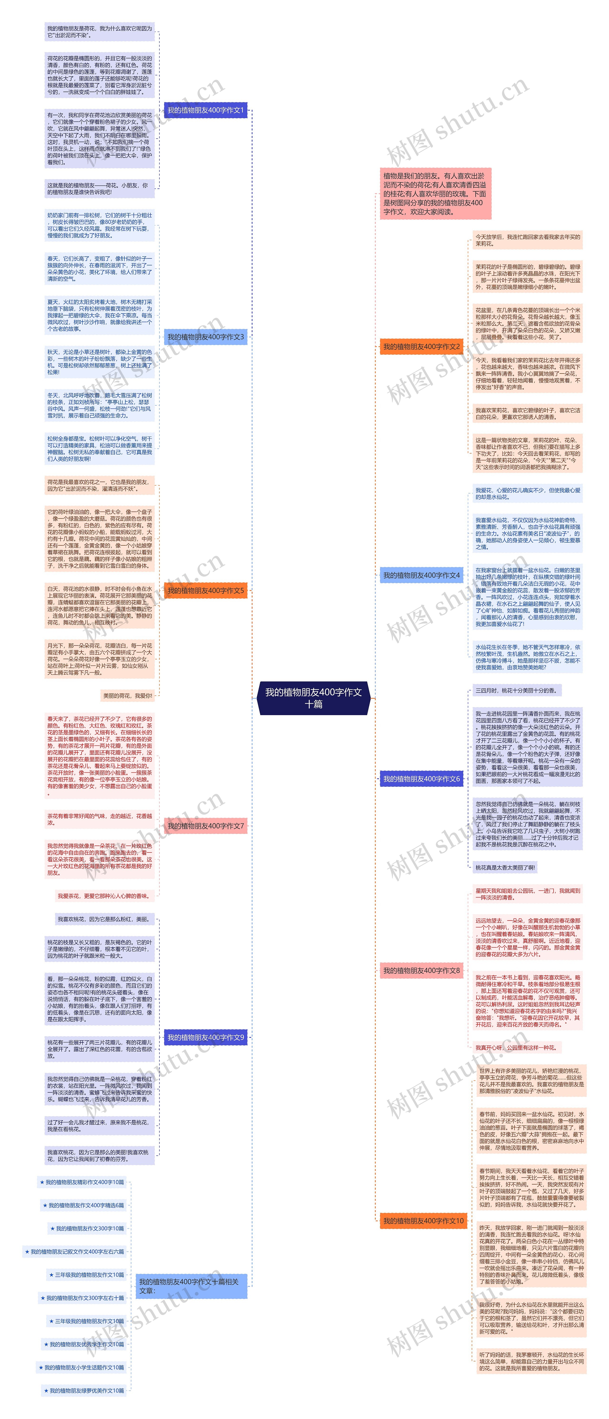 我的植物朋友400字作文十篇思维导图