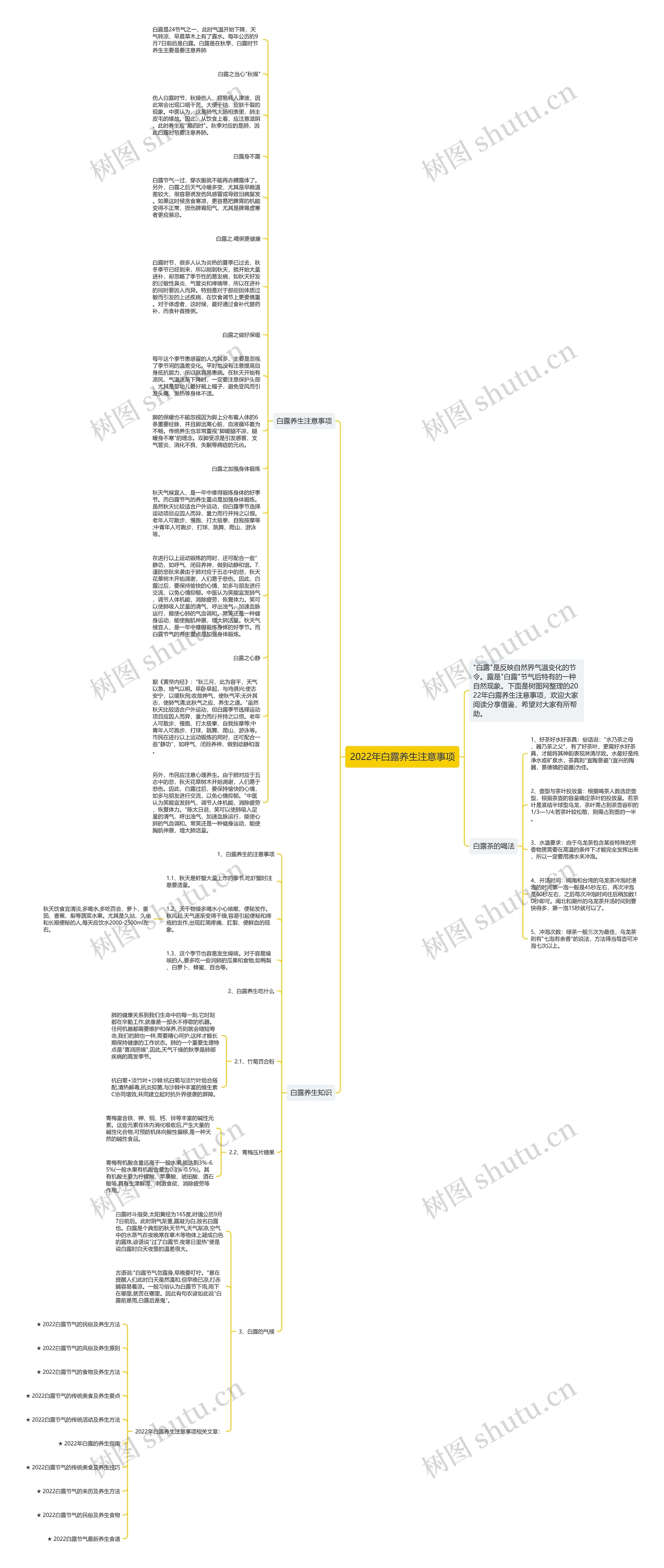 2022年白露养生注意事项思维导图