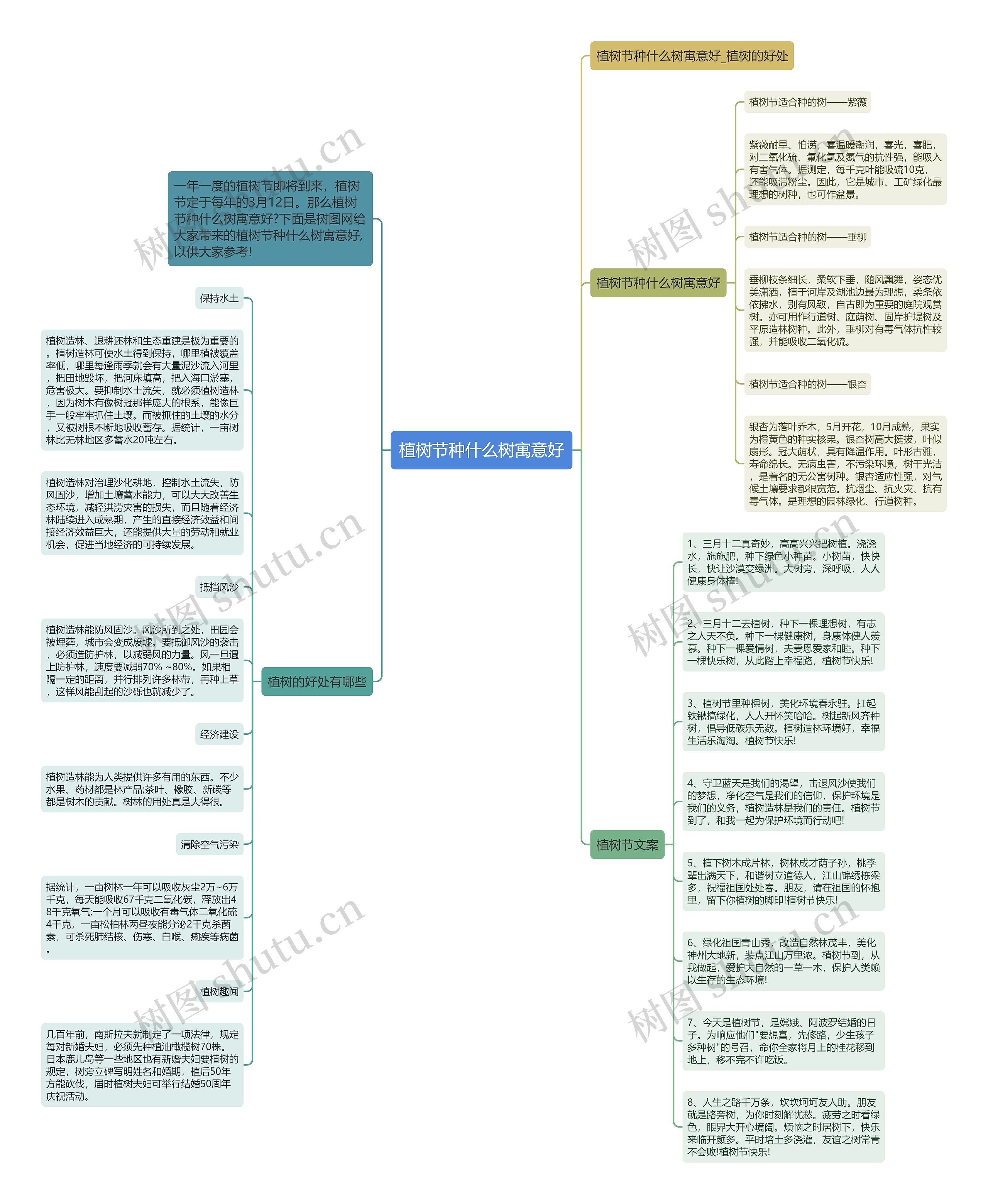 植树节种什么树寓意好思维导图