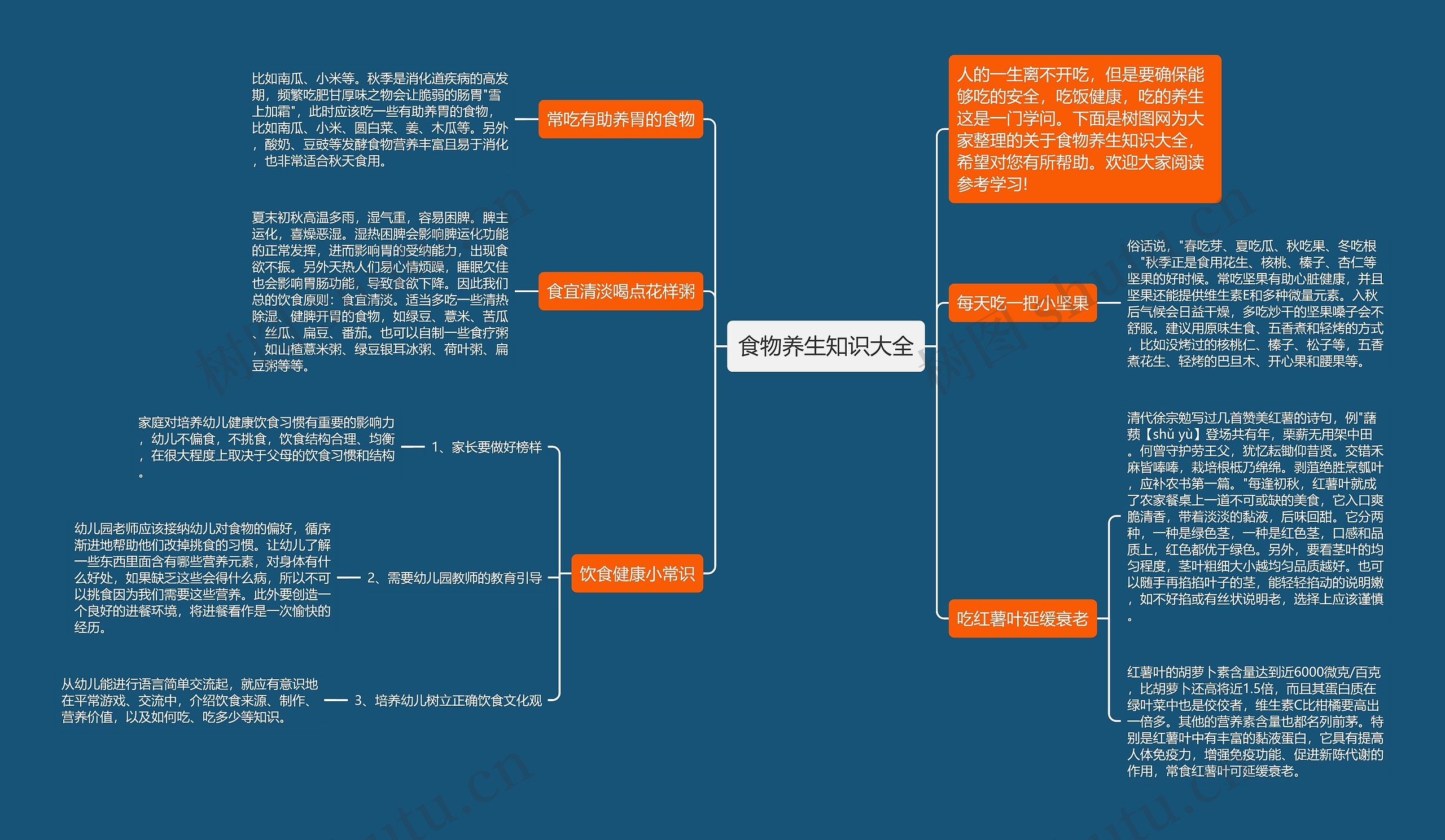 食物养生知识大全思维导图