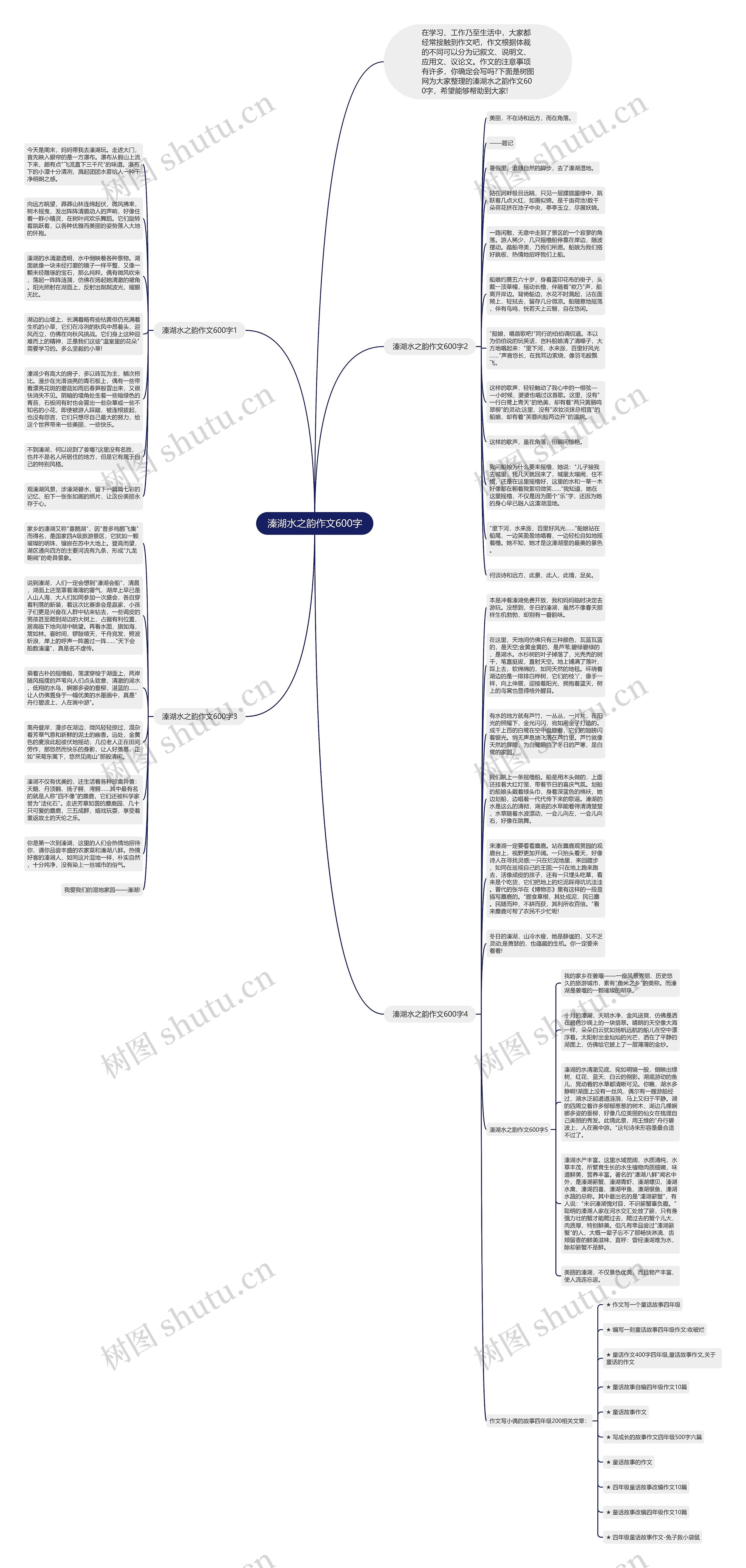 溱湖水之韵作文600字思维导图