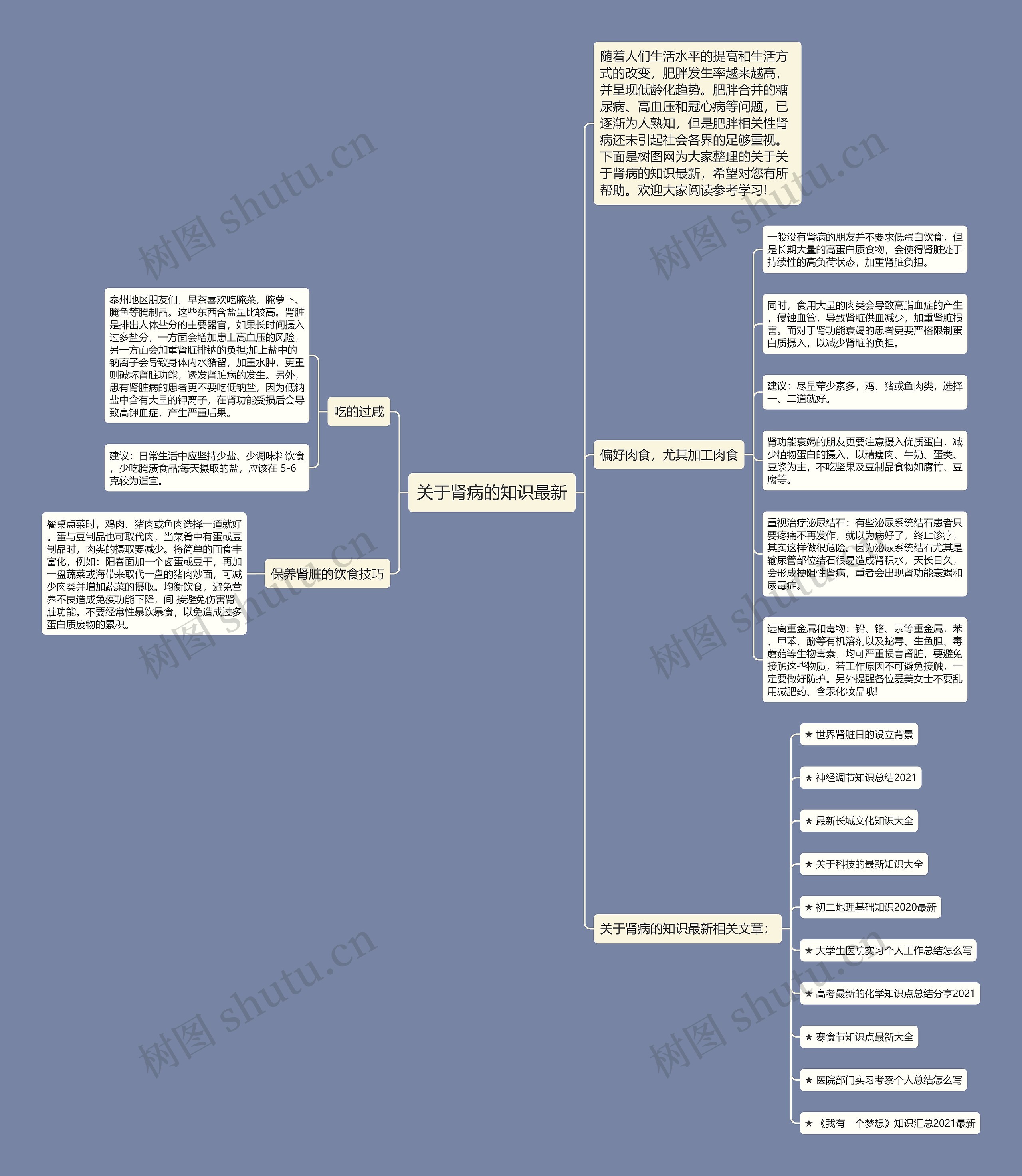 关于肾病的知识最新思维导图