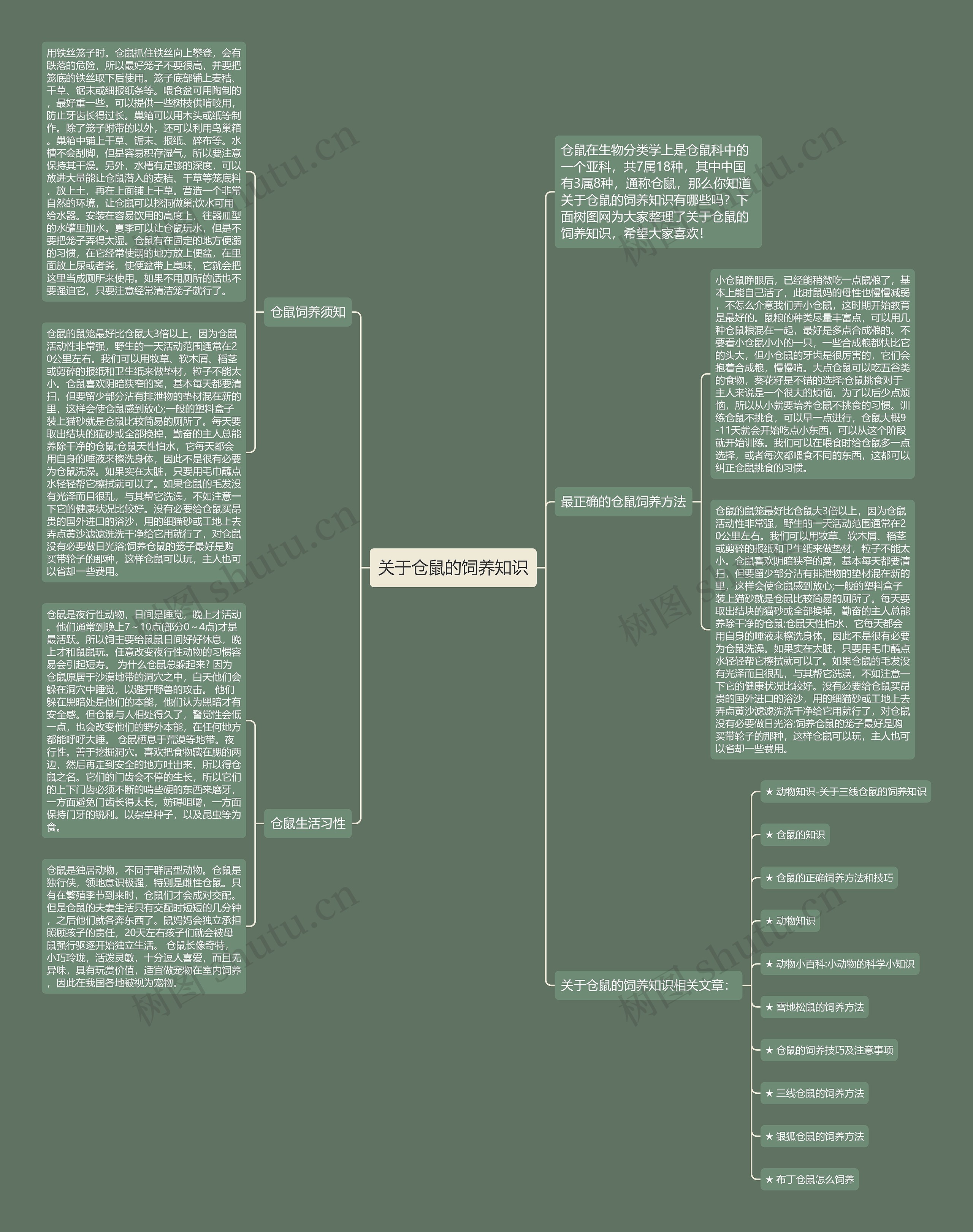 关于仓鼠的饲养知识思维导图
