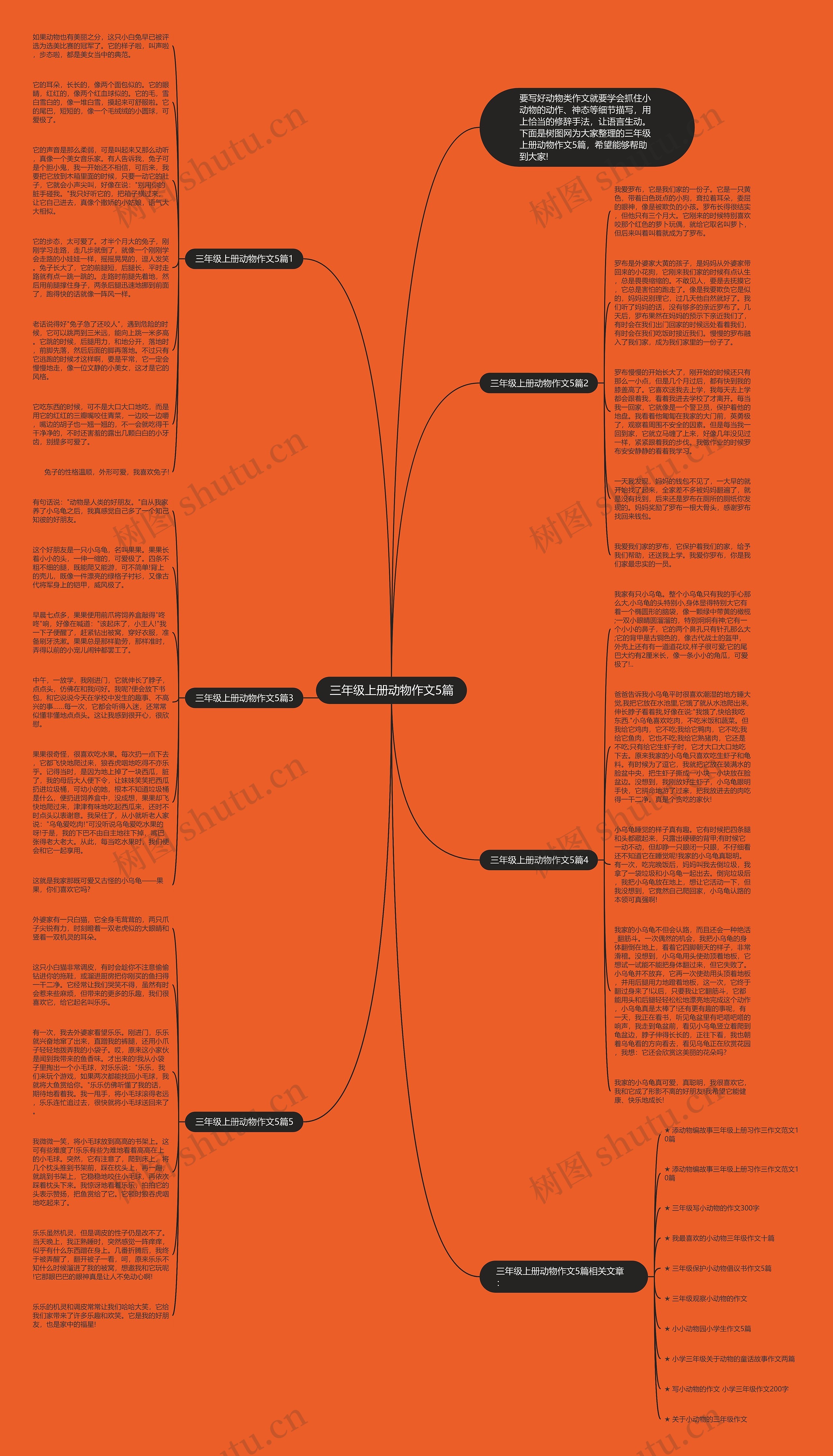 三年级上册动物作文5篇思维导图
