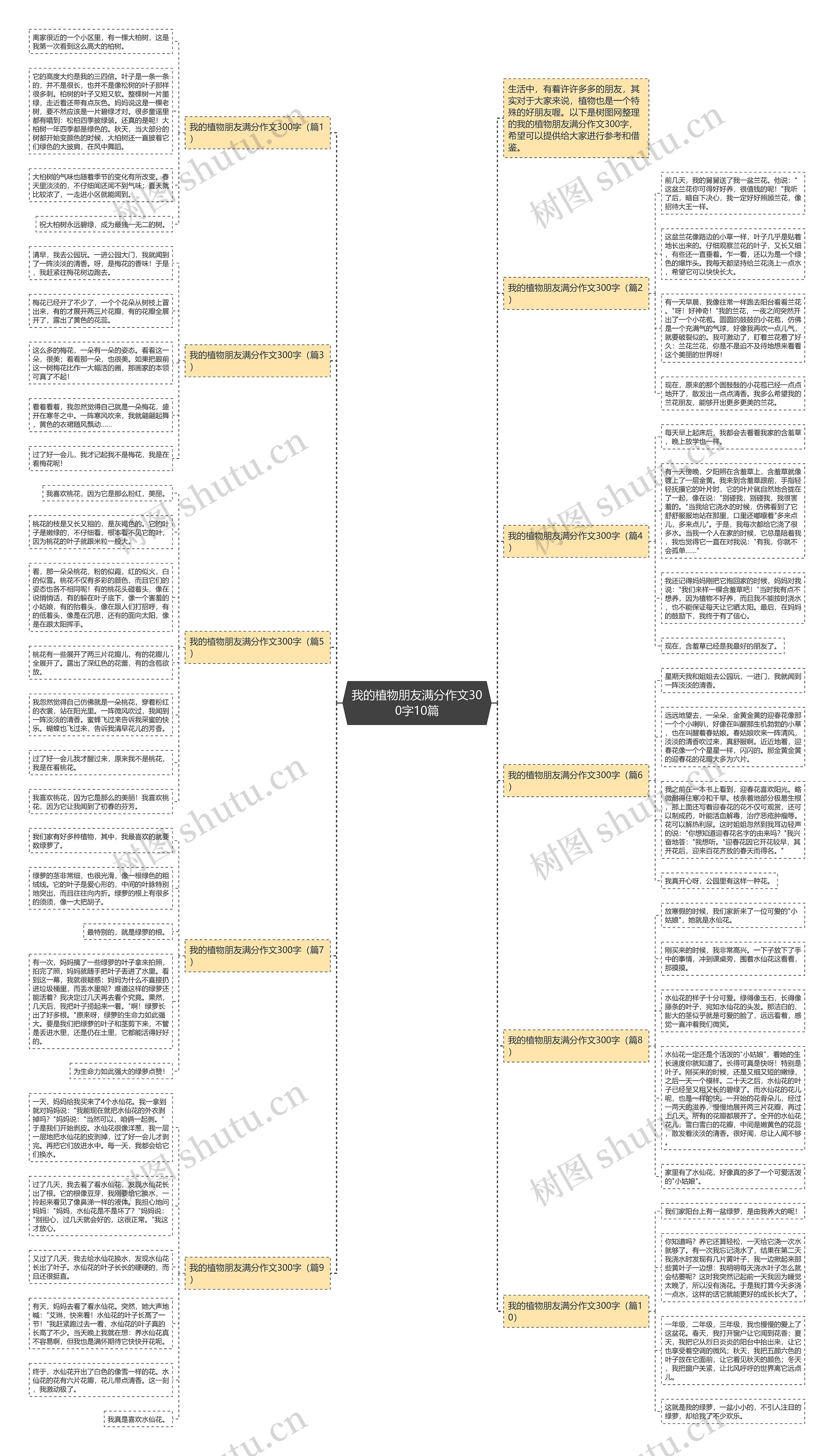 我的植物朋友满分作文300字10篇思维导图