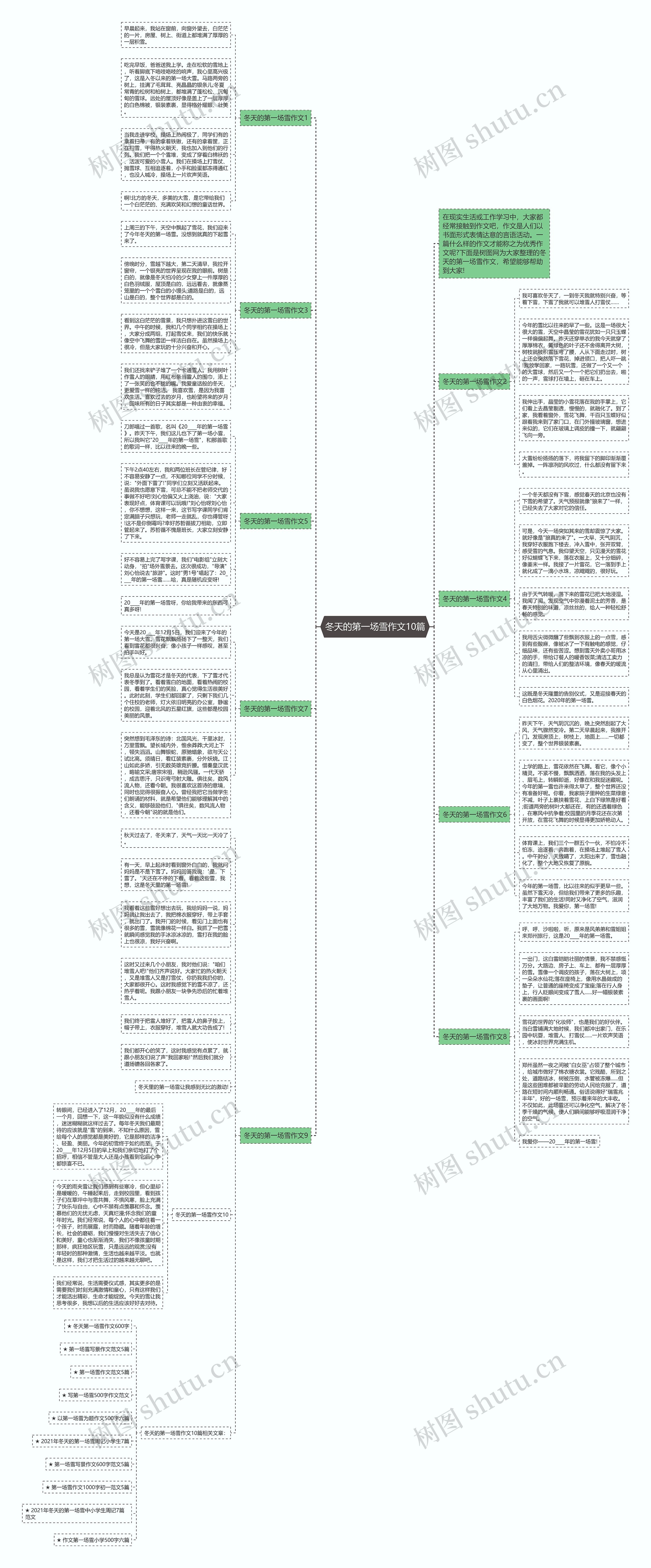 冬天的第一场雪作文10篇