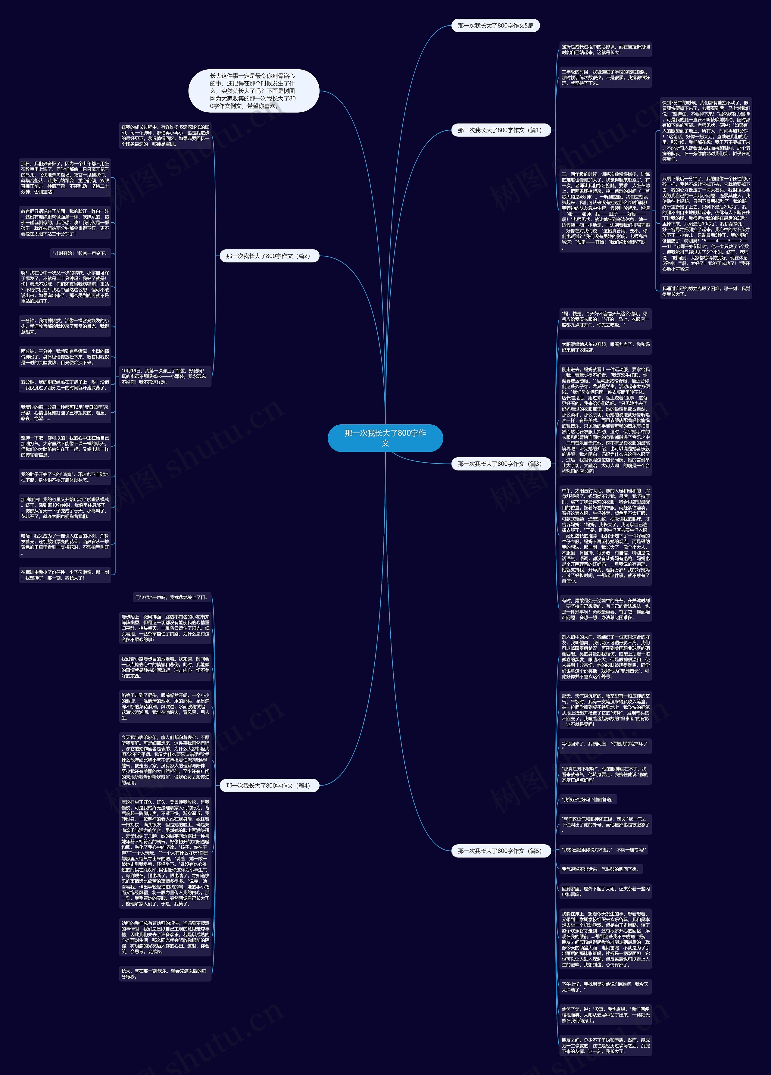 那一次我长大了800字作文思维导图