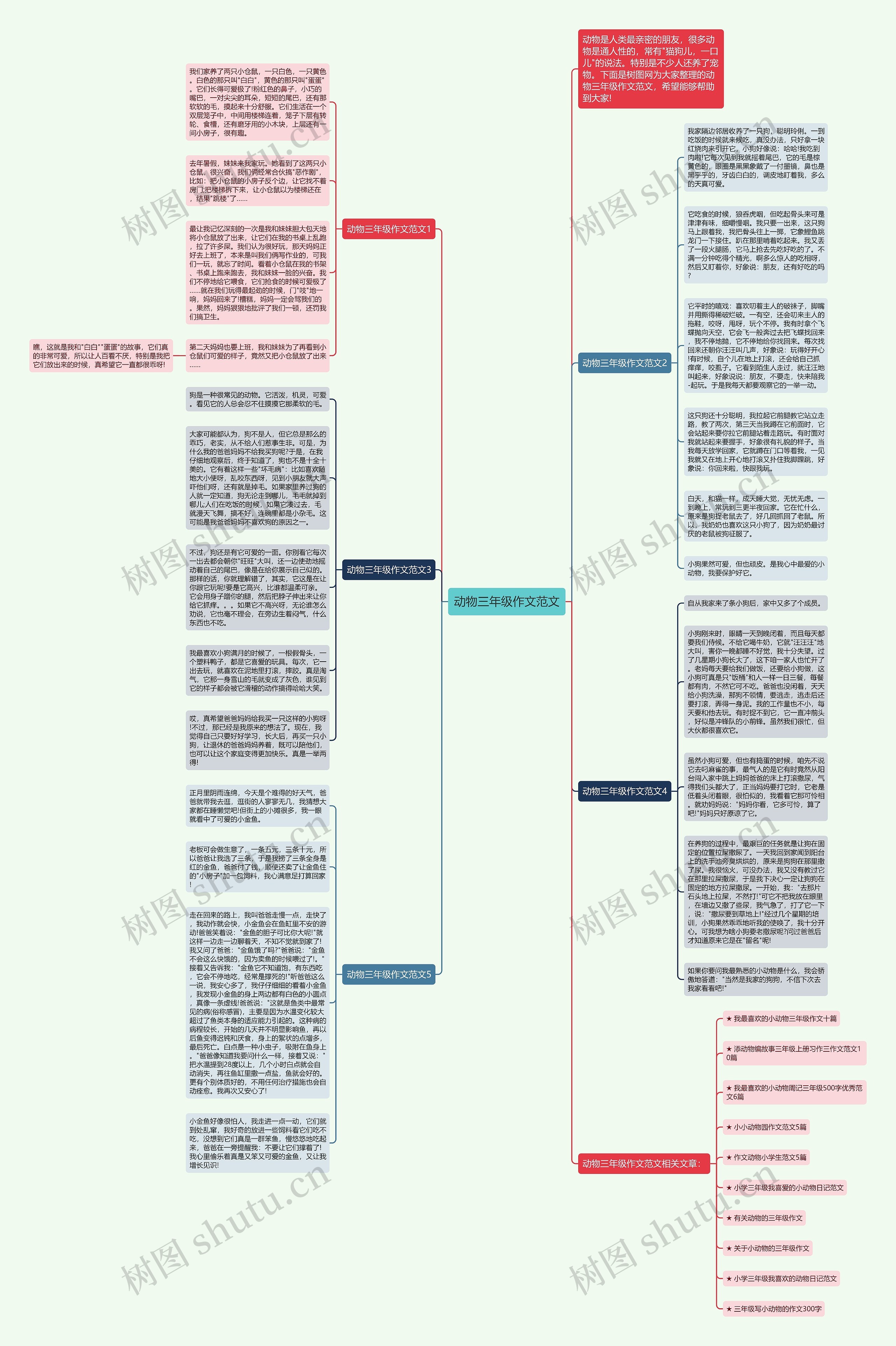 动物三年级作文范文思维导图