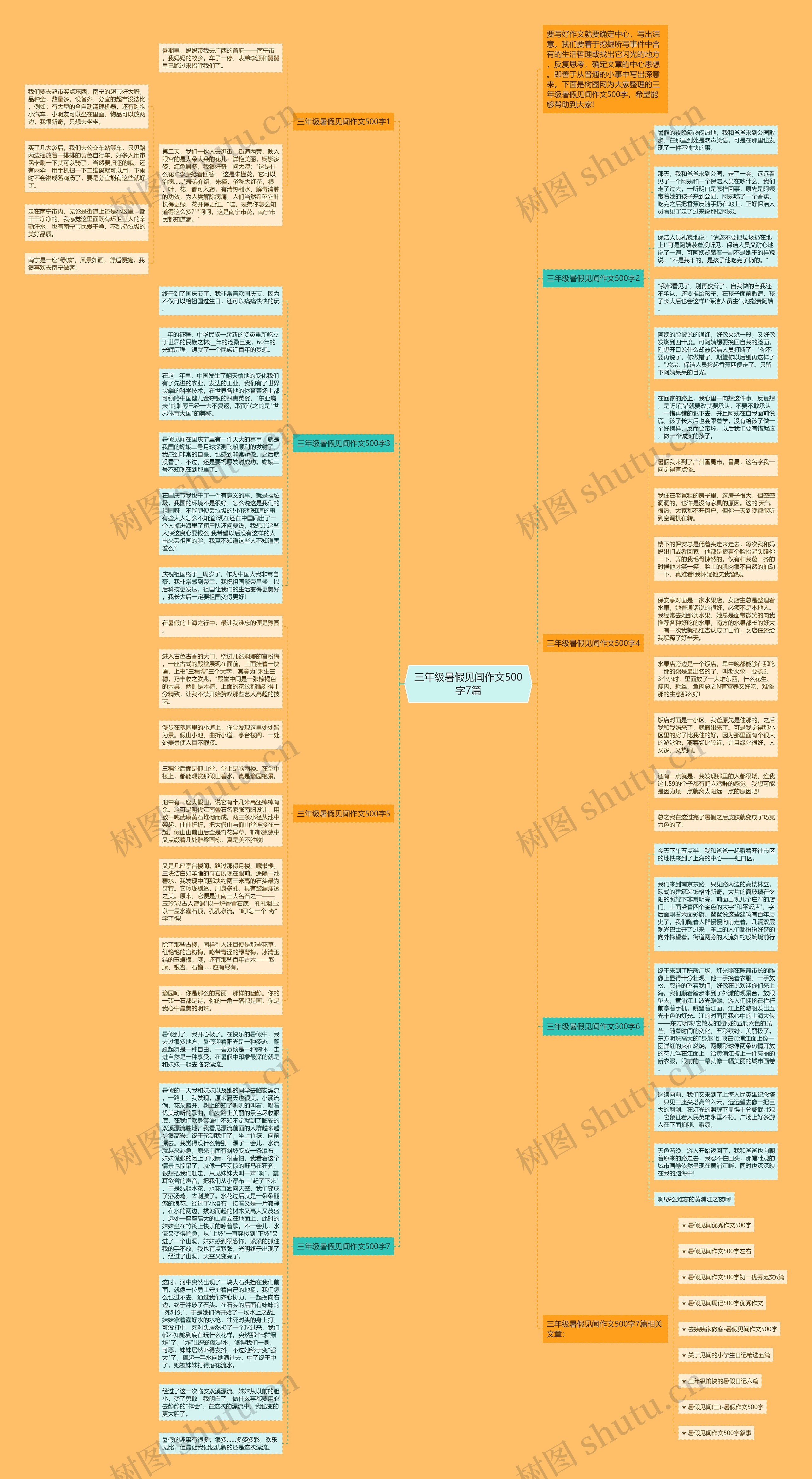 三年级暑假见闻作文500字7篇