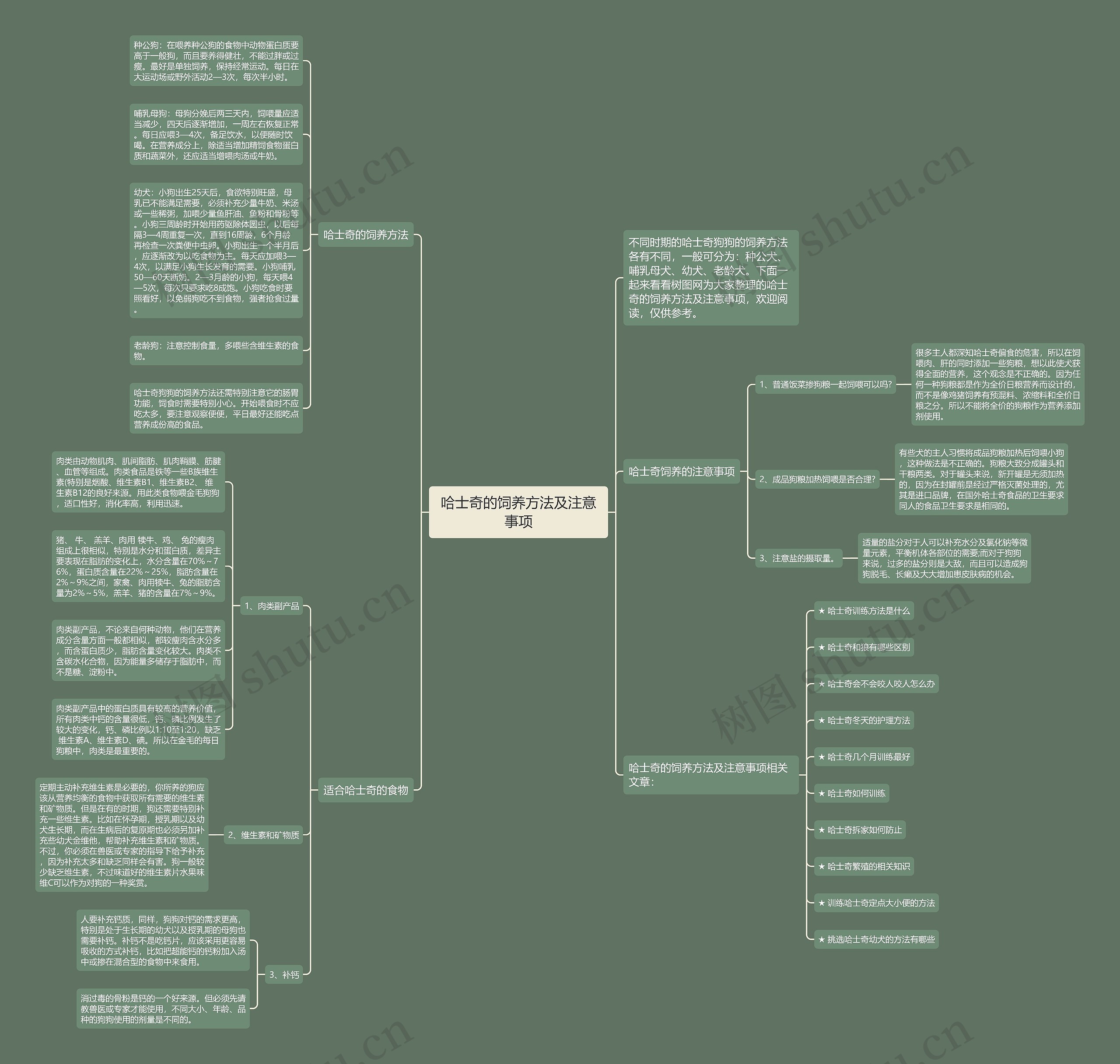 哈士奇的饲养方法及注意事项思维导图