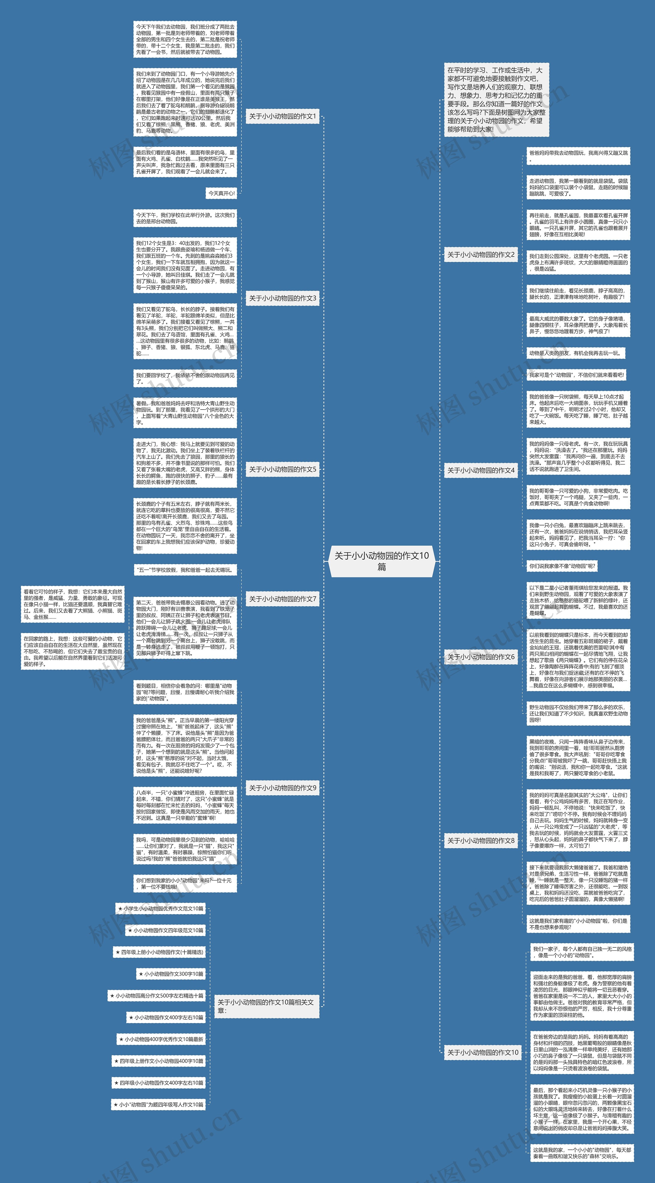 关于小小动物园的作文10篇思维导图