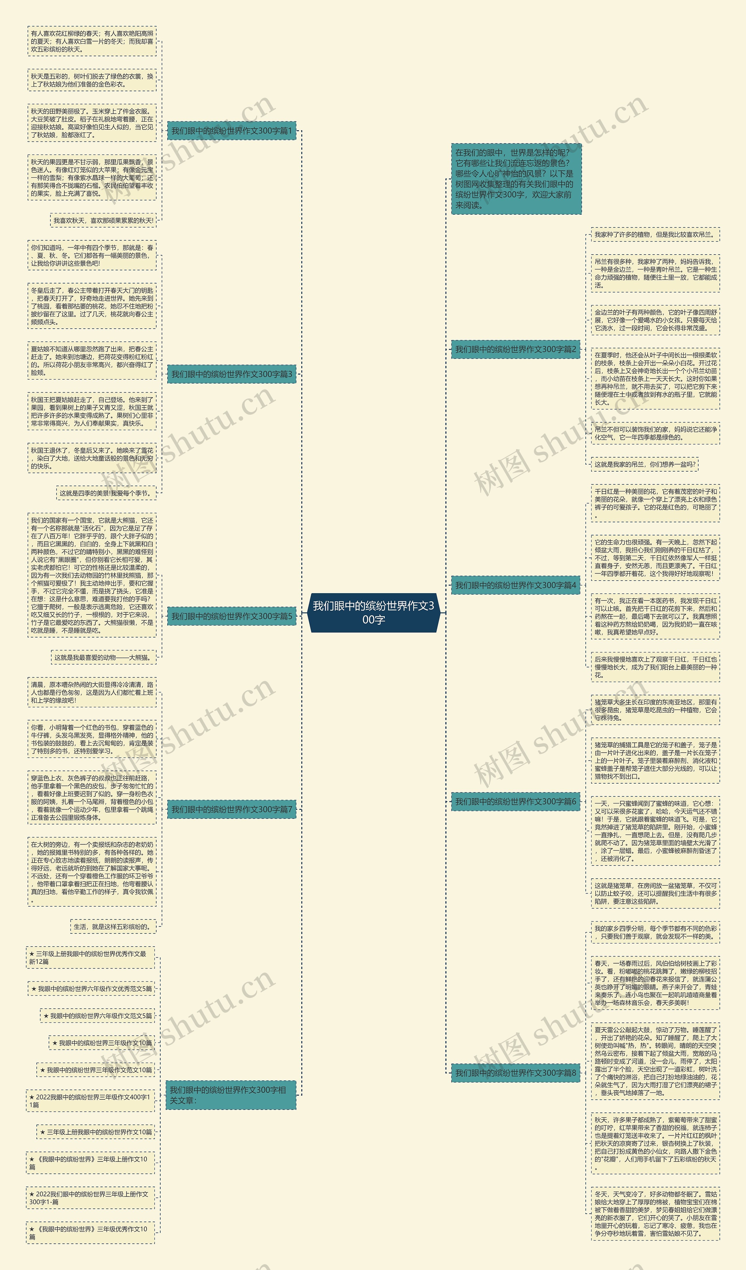 我们眼中的缤纷世界作文300字思维导图