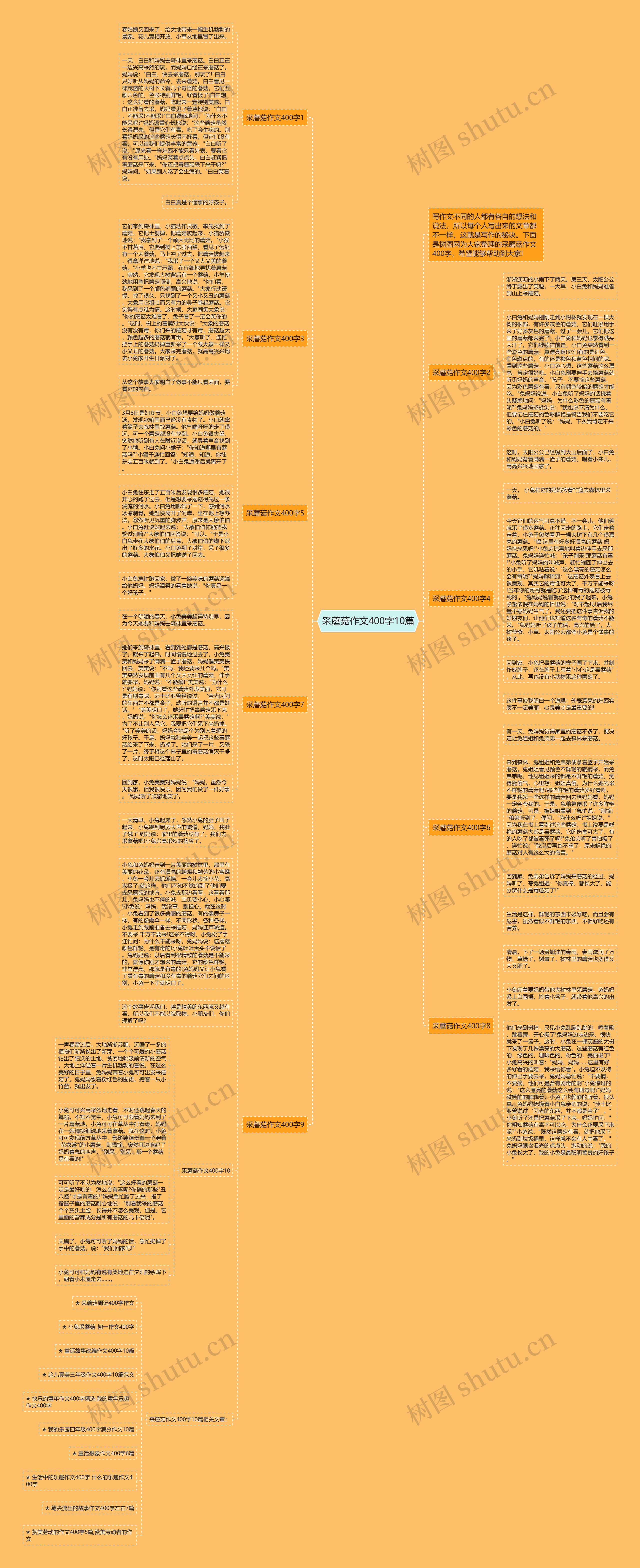 采蘑菇作文400字10篇思维导图