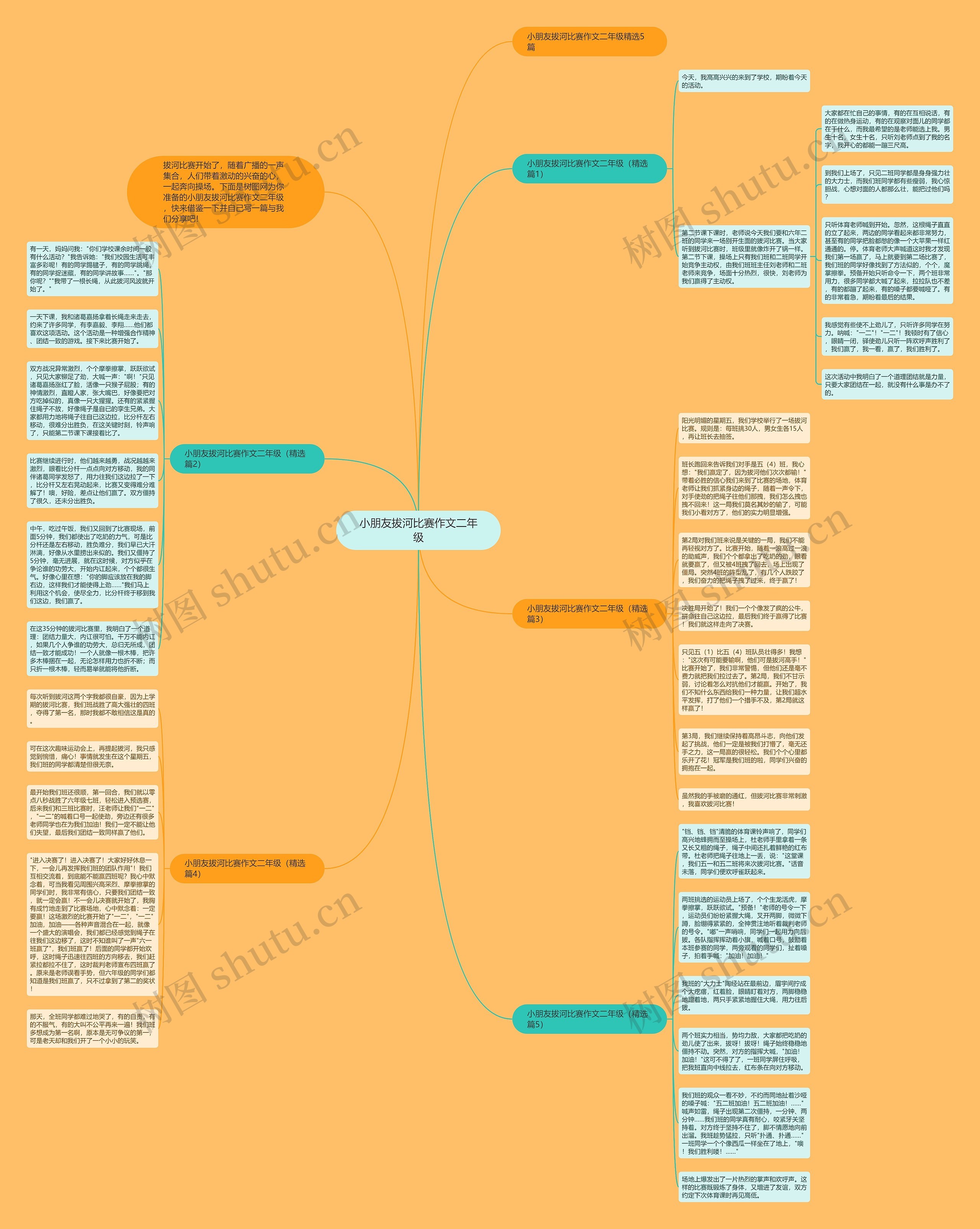 小朋友拔河比赛作文二年级思维导图