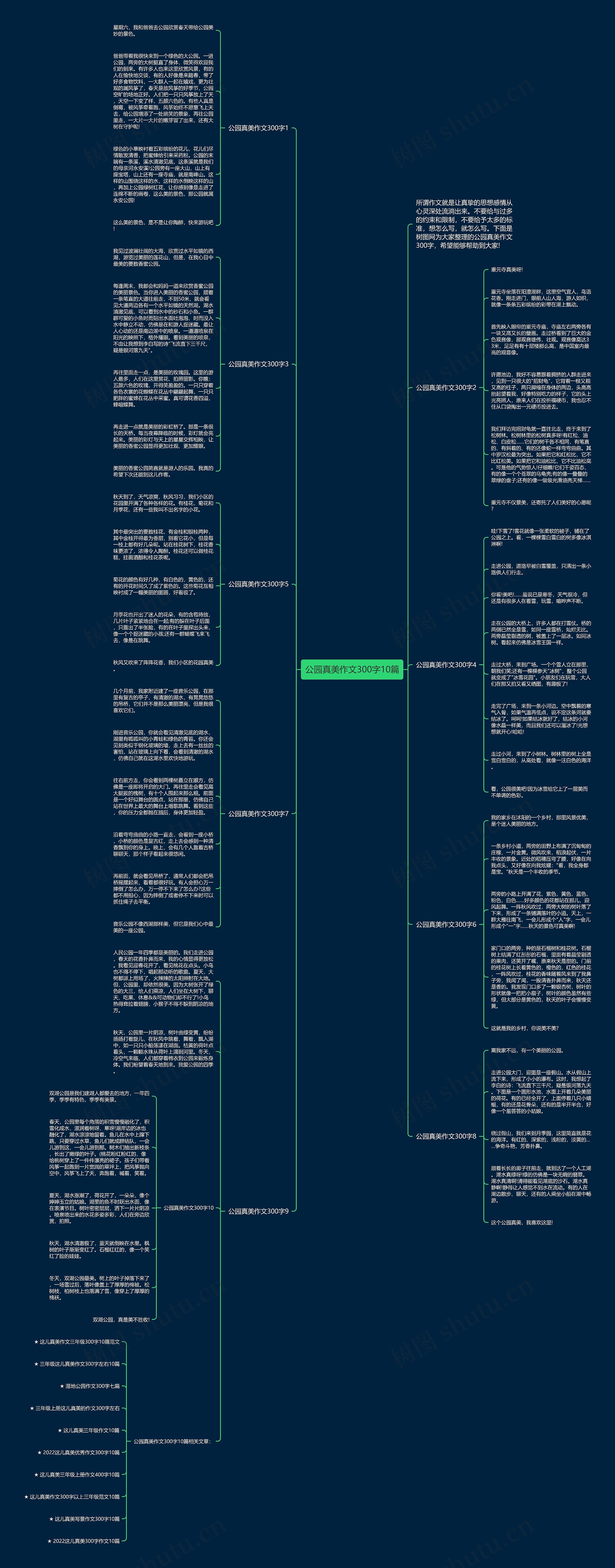 公园真美作文300字10篇思维导图