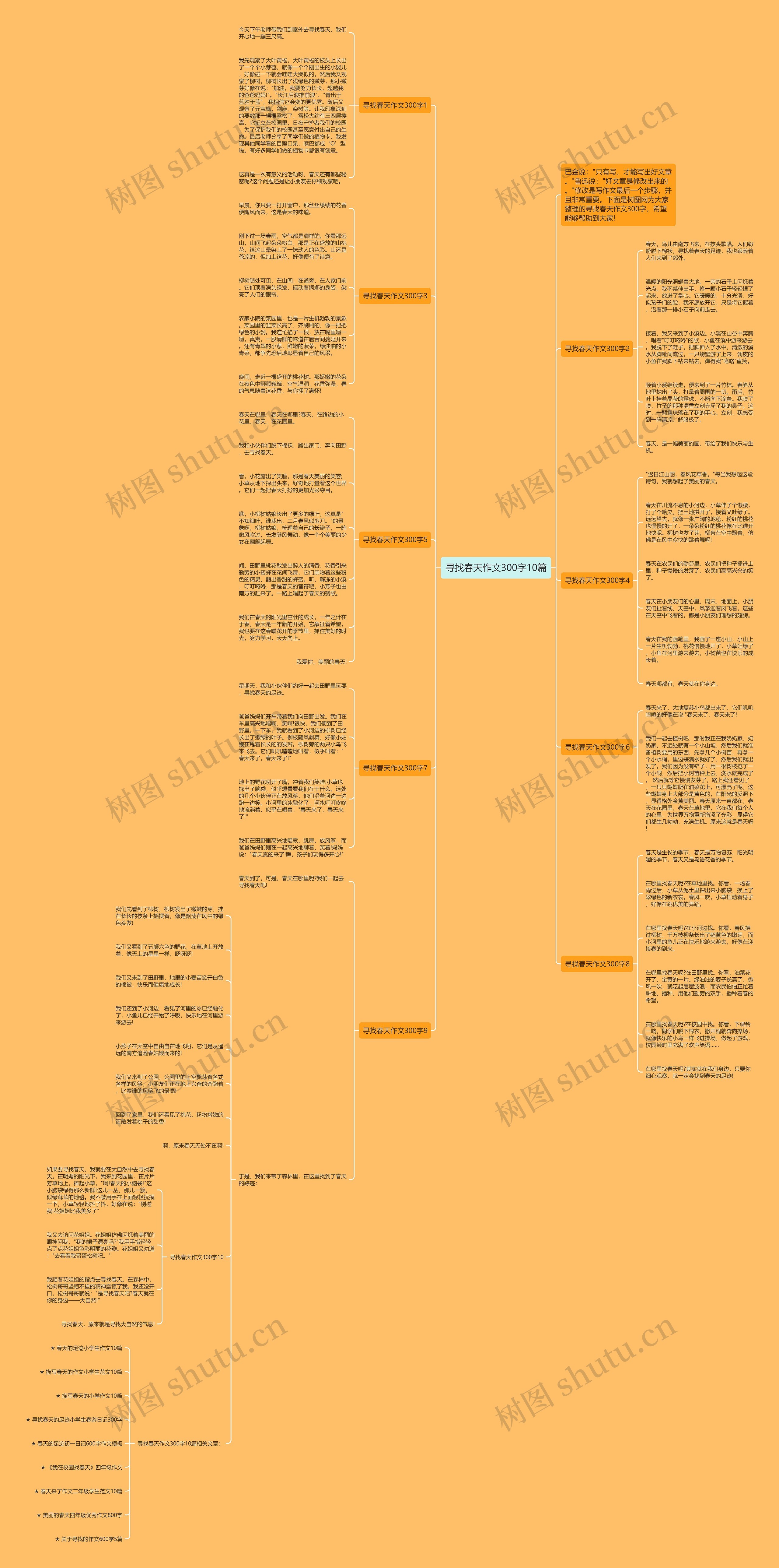 寻找春天作文300字10篇思维导图