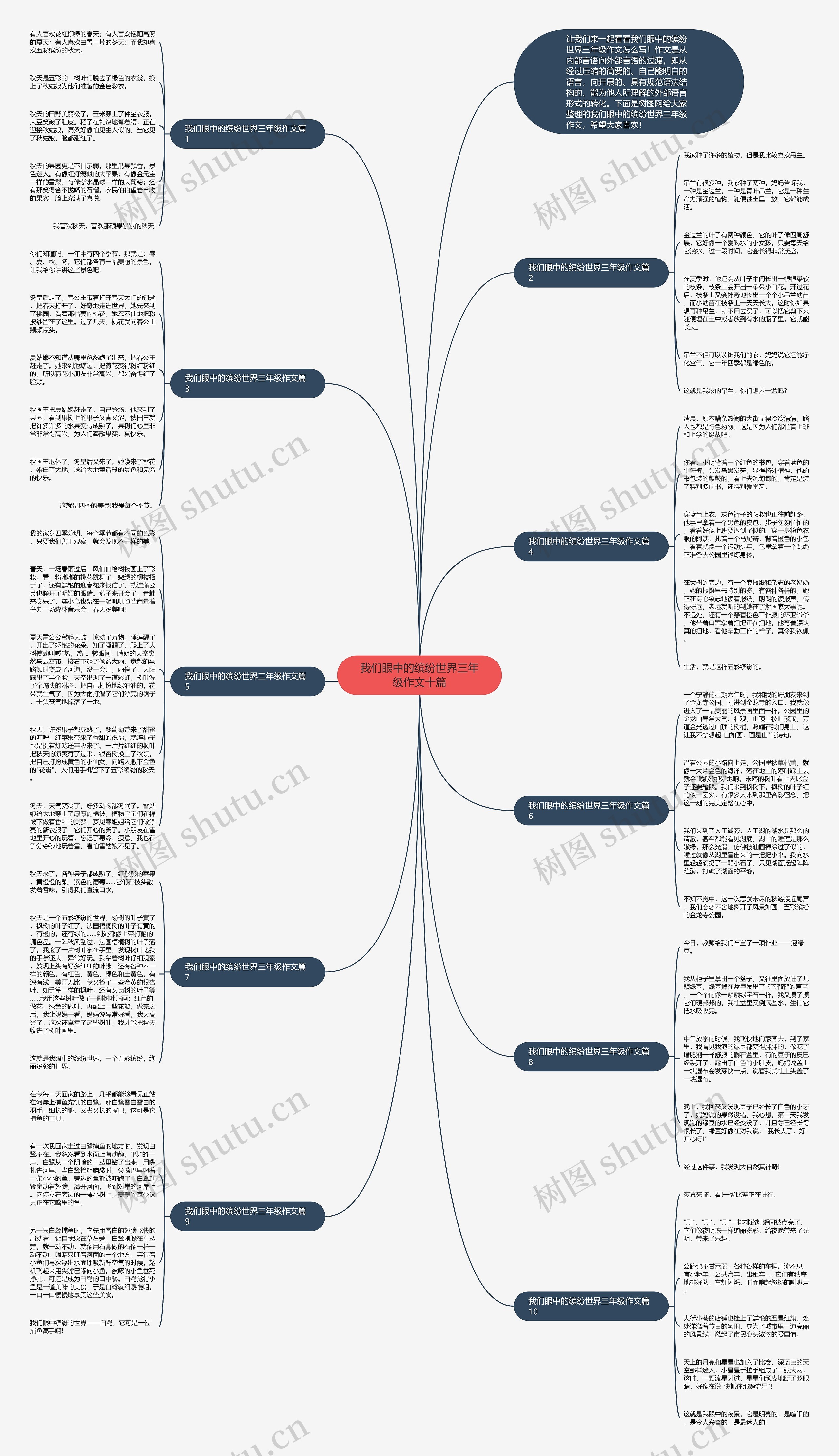 我们眼中的缤纷世界三年级作文十篇思维导图