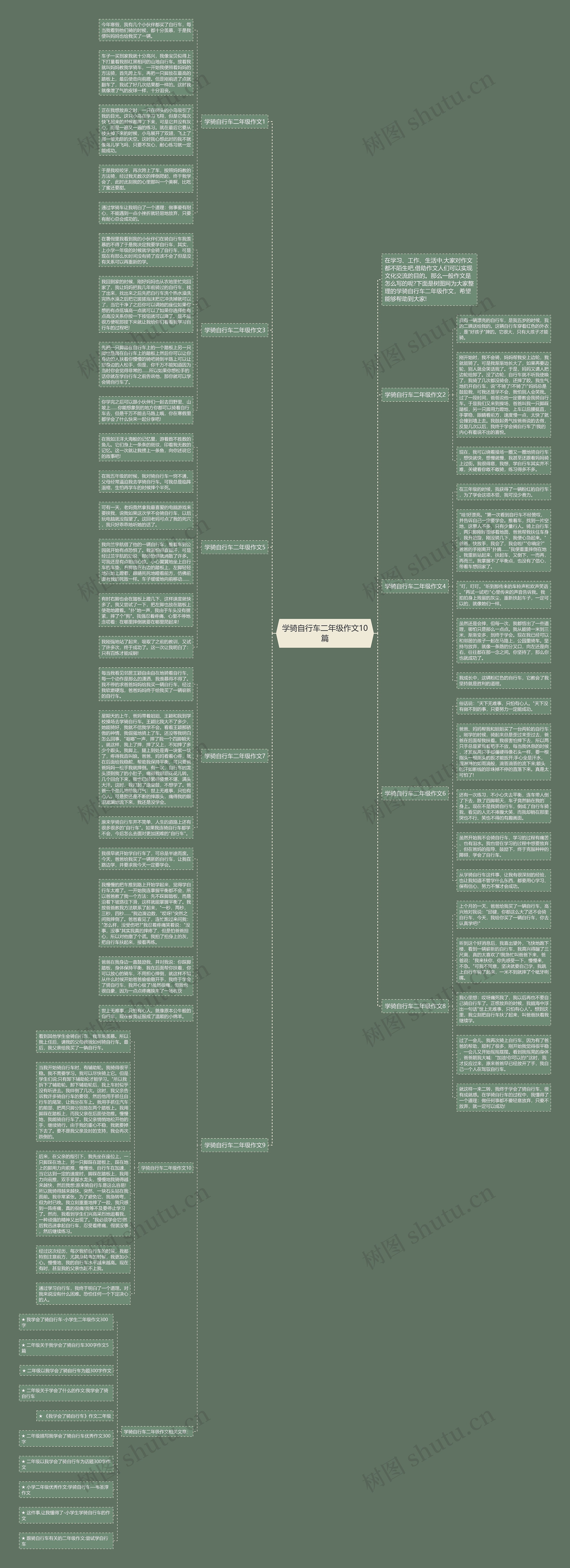 学骑自行车二年级作文10篇思维导图
