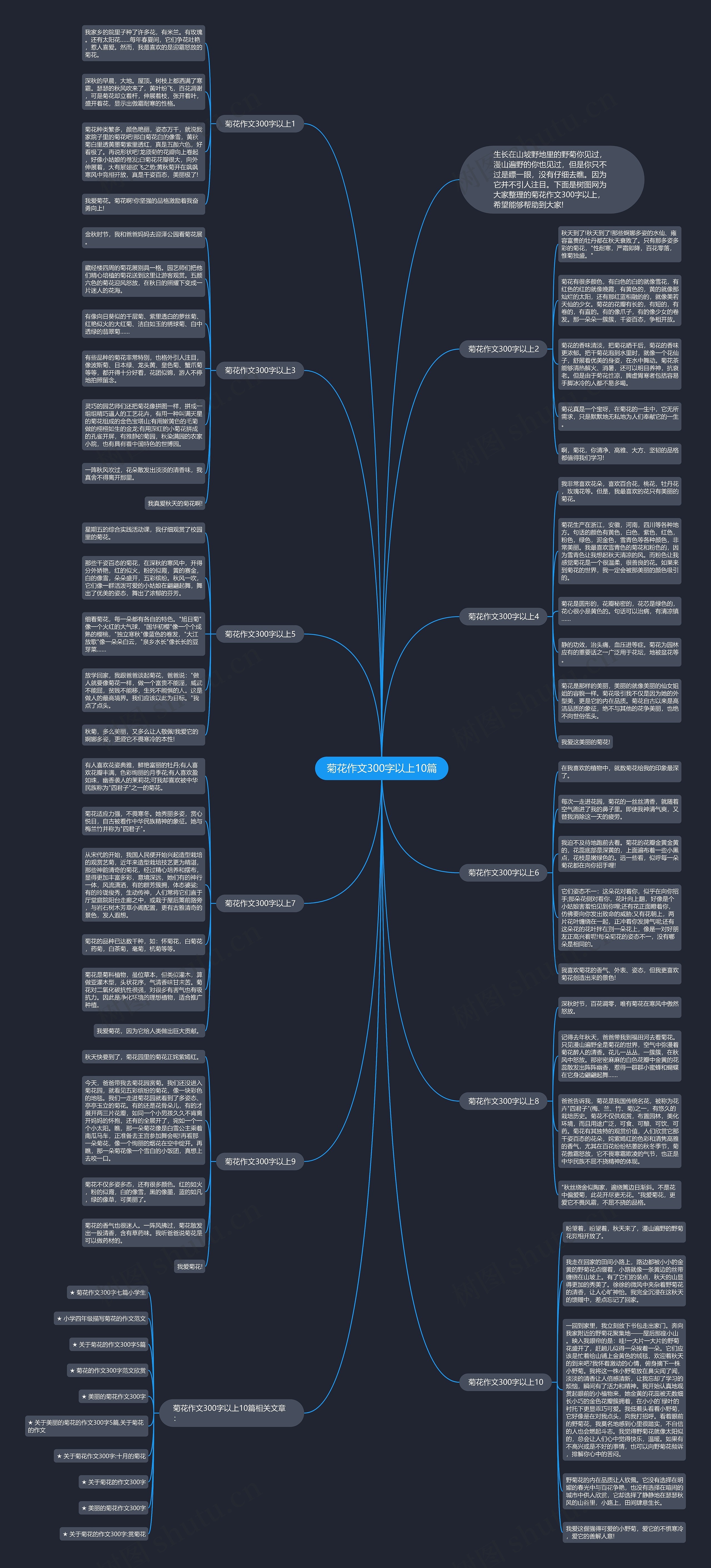 菊花作文300字以上10篇思维导图
