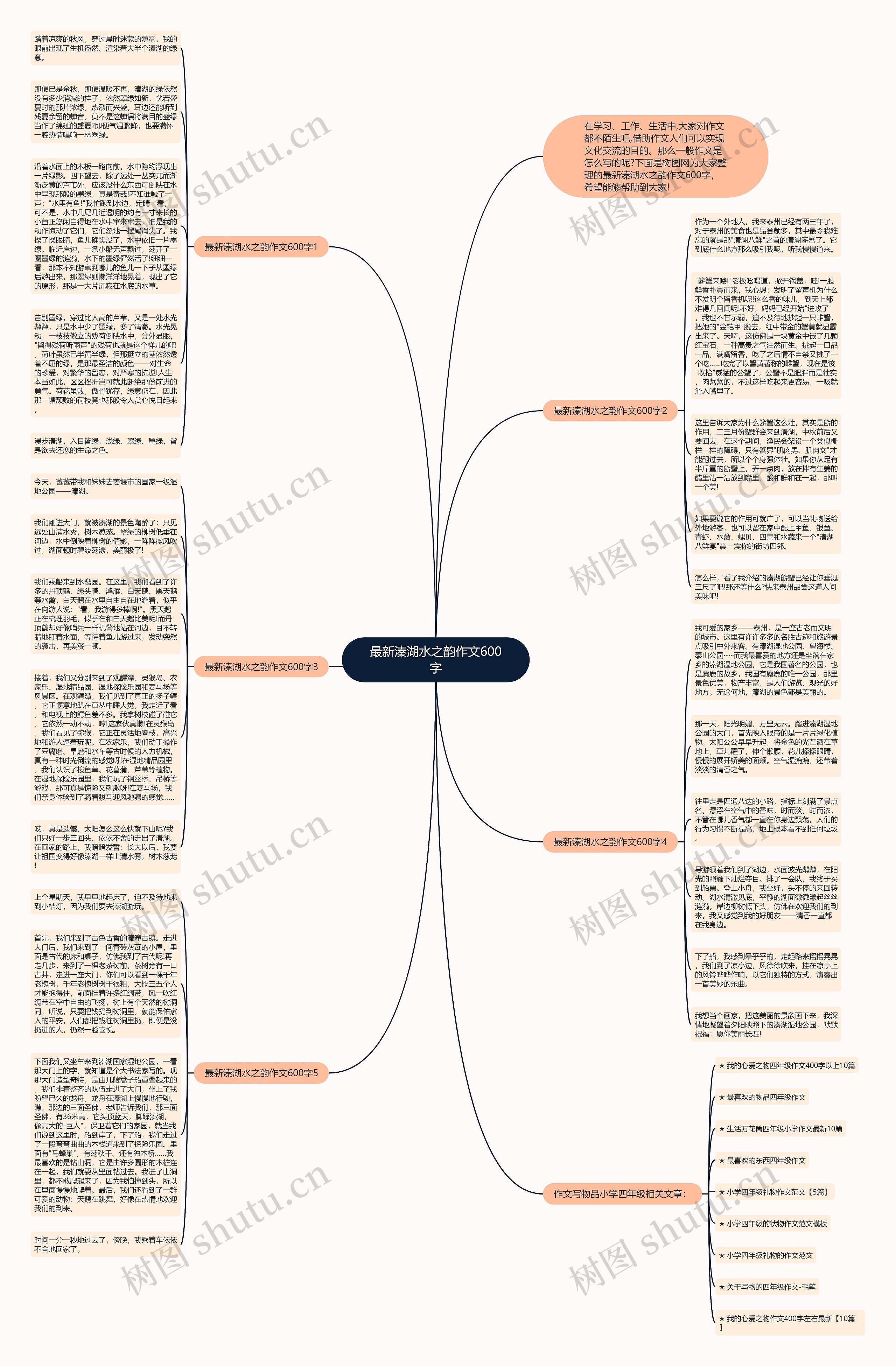 最新溱湖水之韵作文600字思维导图