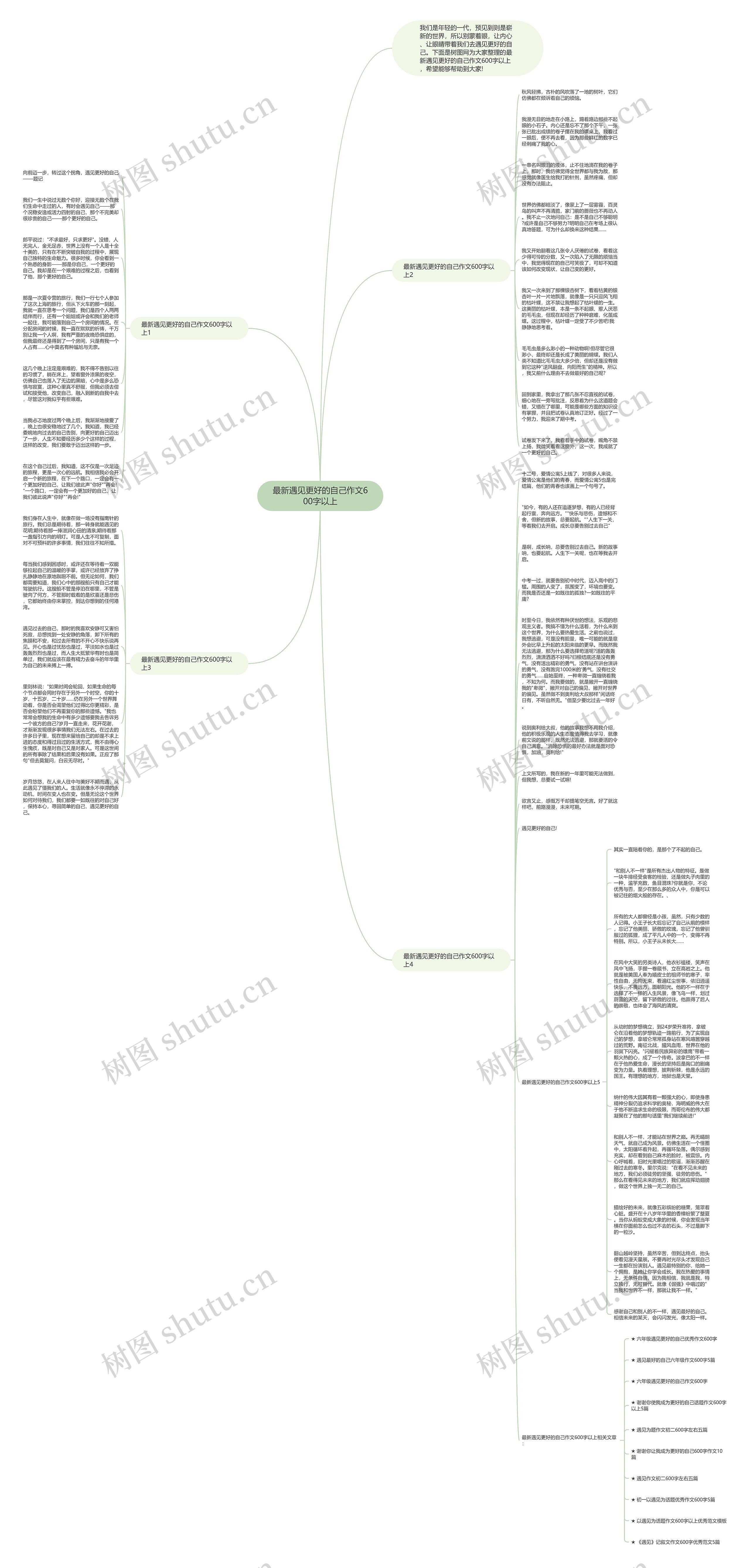 最新遇见更好的自己作文600字以上