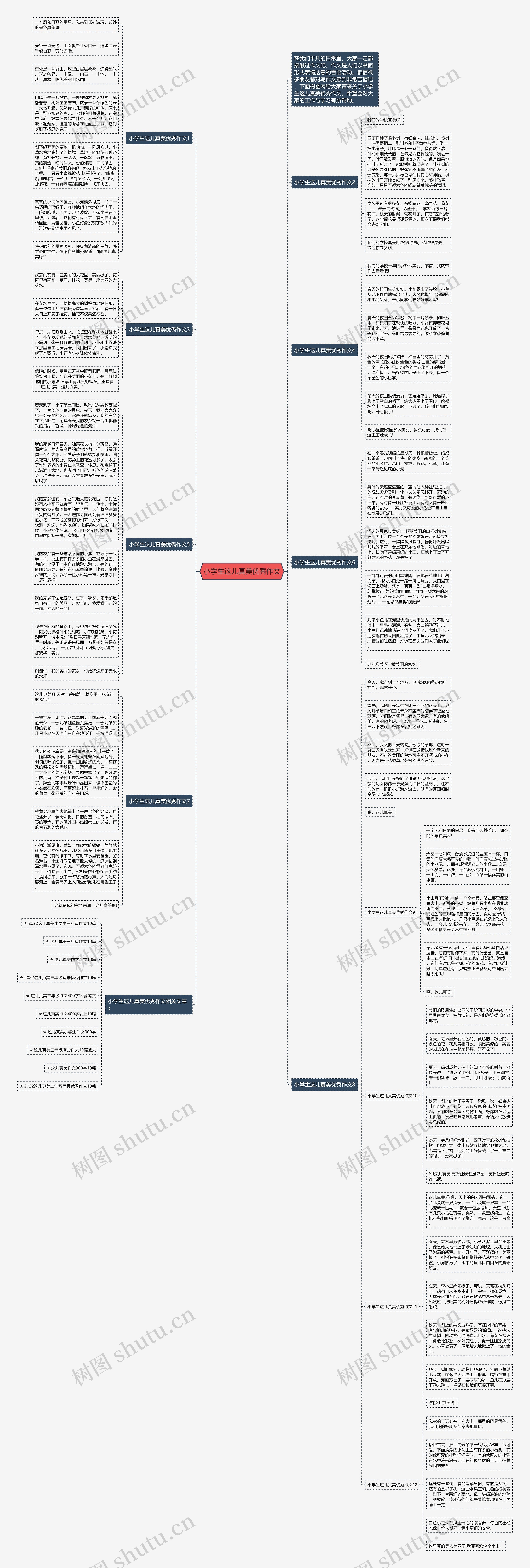 小学生这儿真美优秀作文思维导图