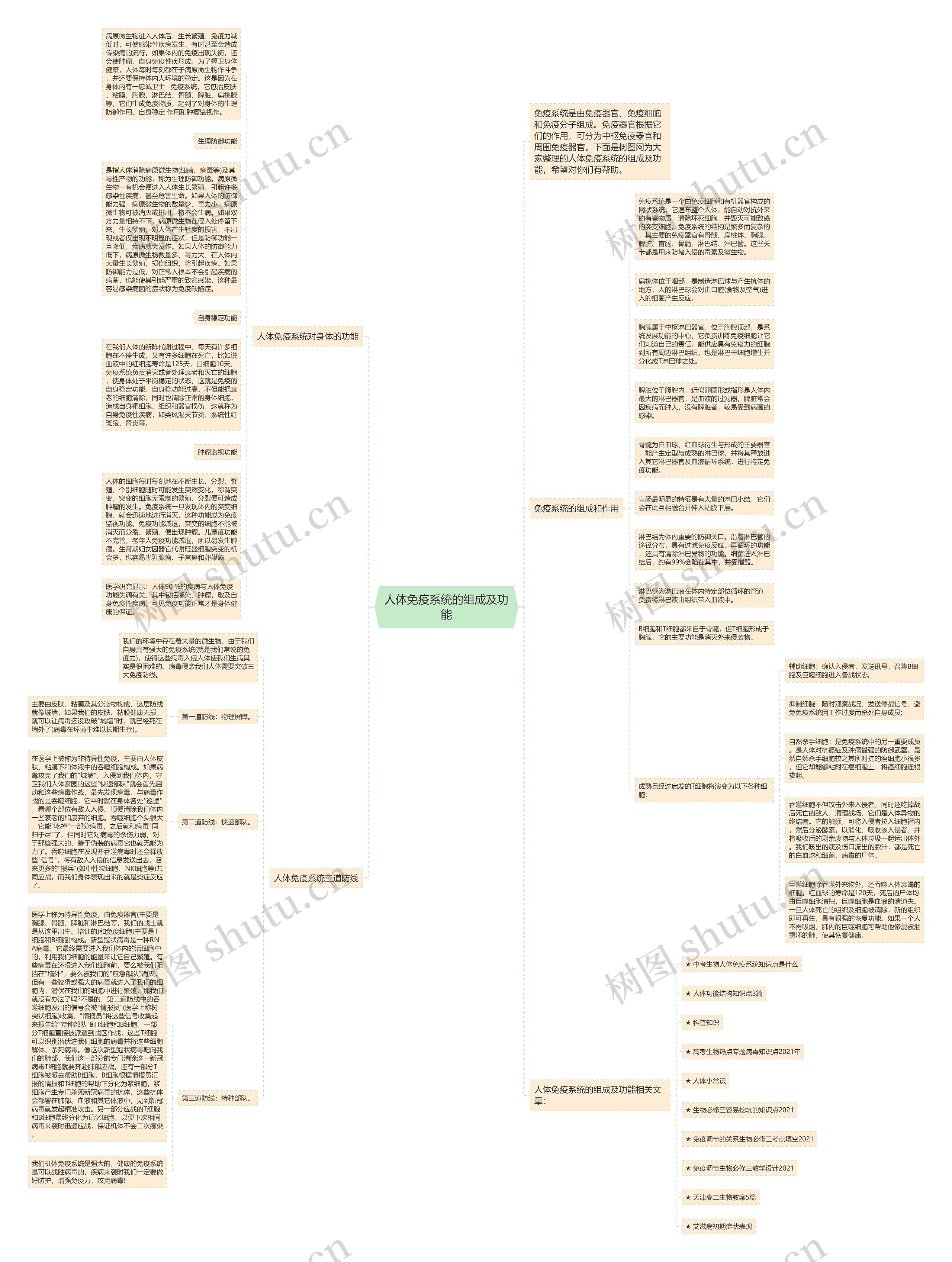 人体免疫系统的组成及功能思维导图
