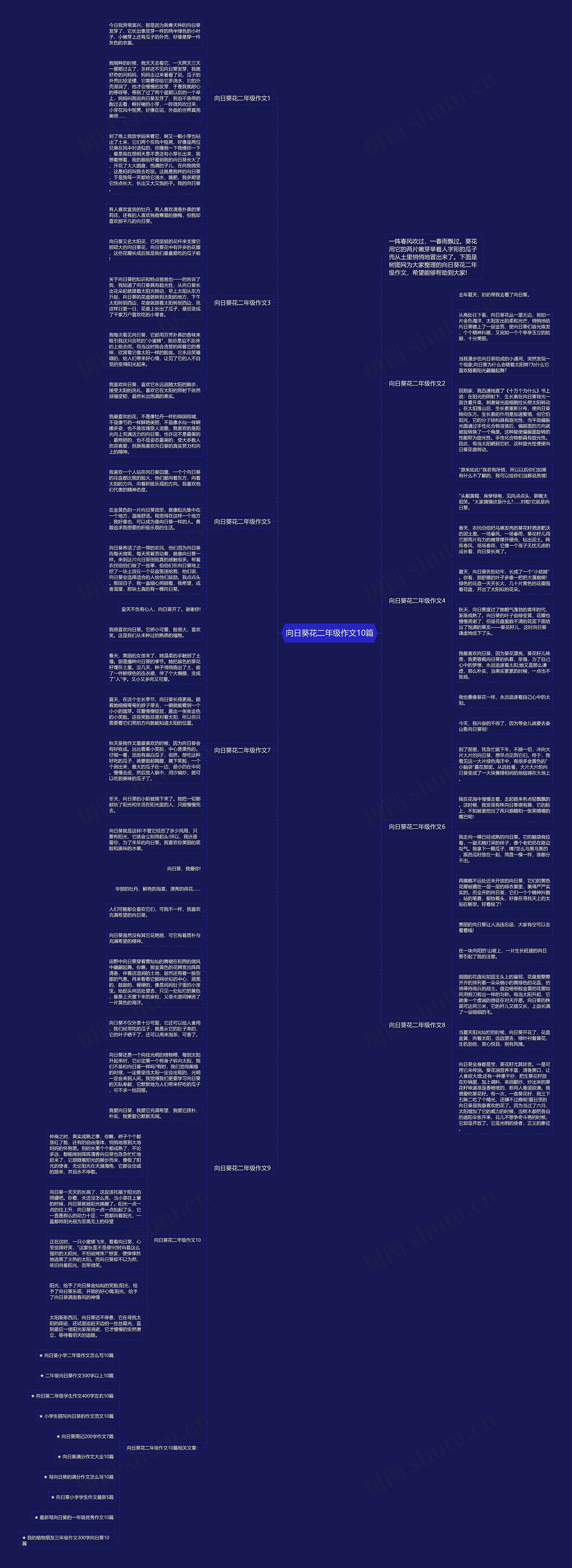 向日葵花二年级作文10篇思维导图