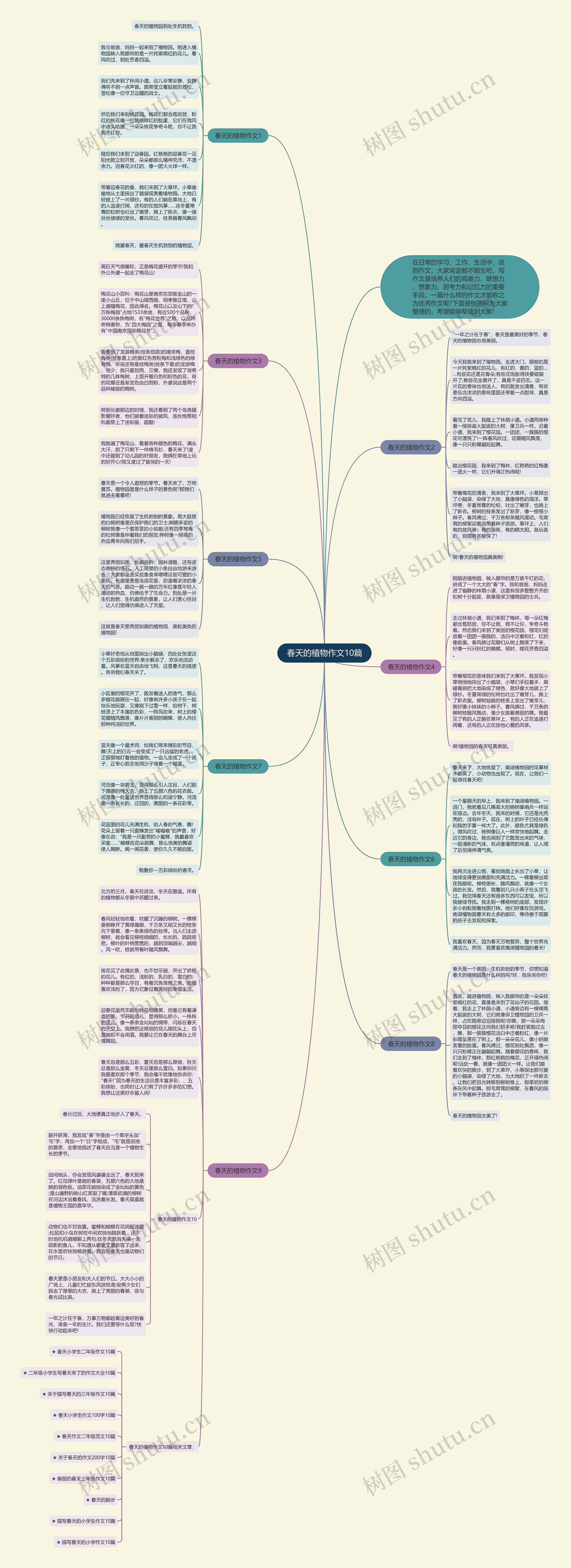 春天的植物作文10篇思维导图