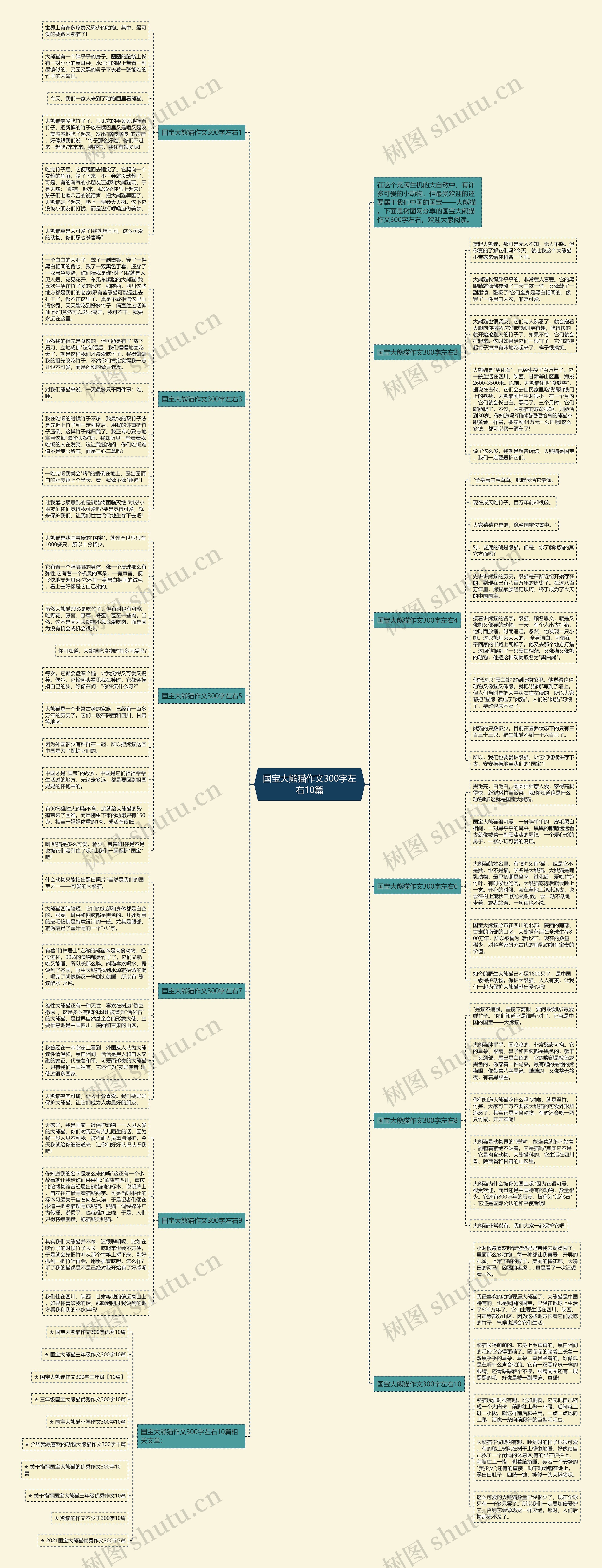 国宝大熊猫作文300字左右10篇思维导图