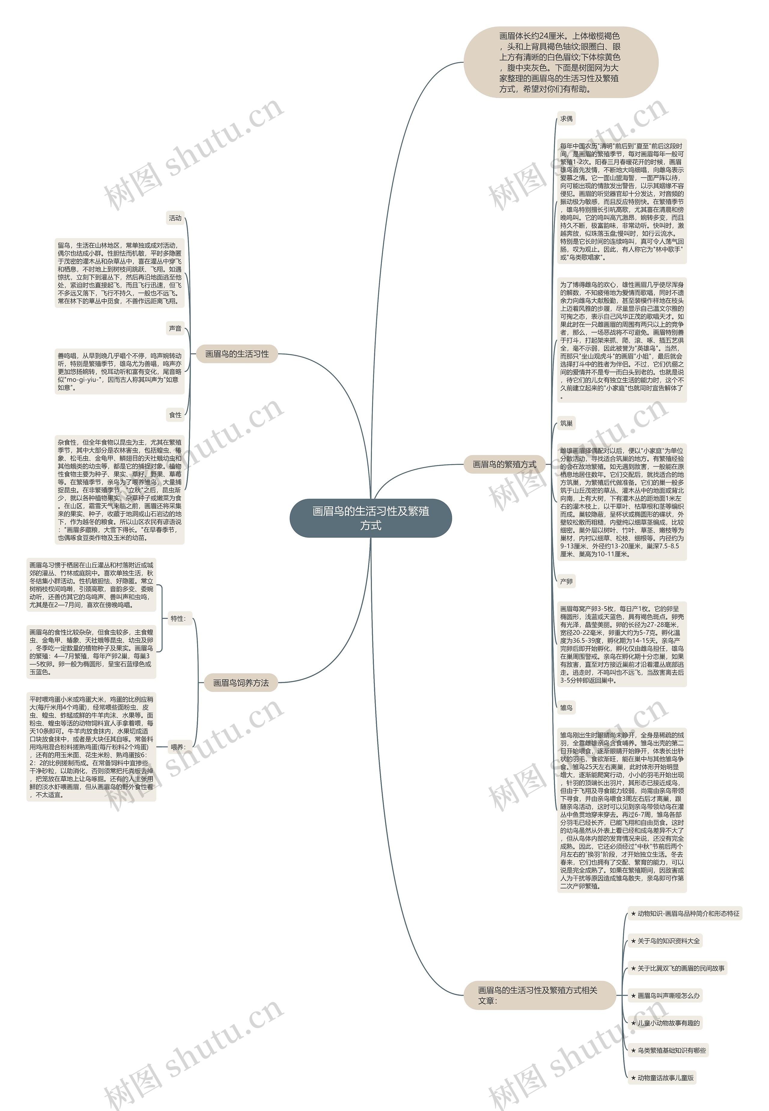画眉鸟的生活习性及繁殖方式思维导图高清图 画眉鸟的生活习性及繁殖方式思维导图