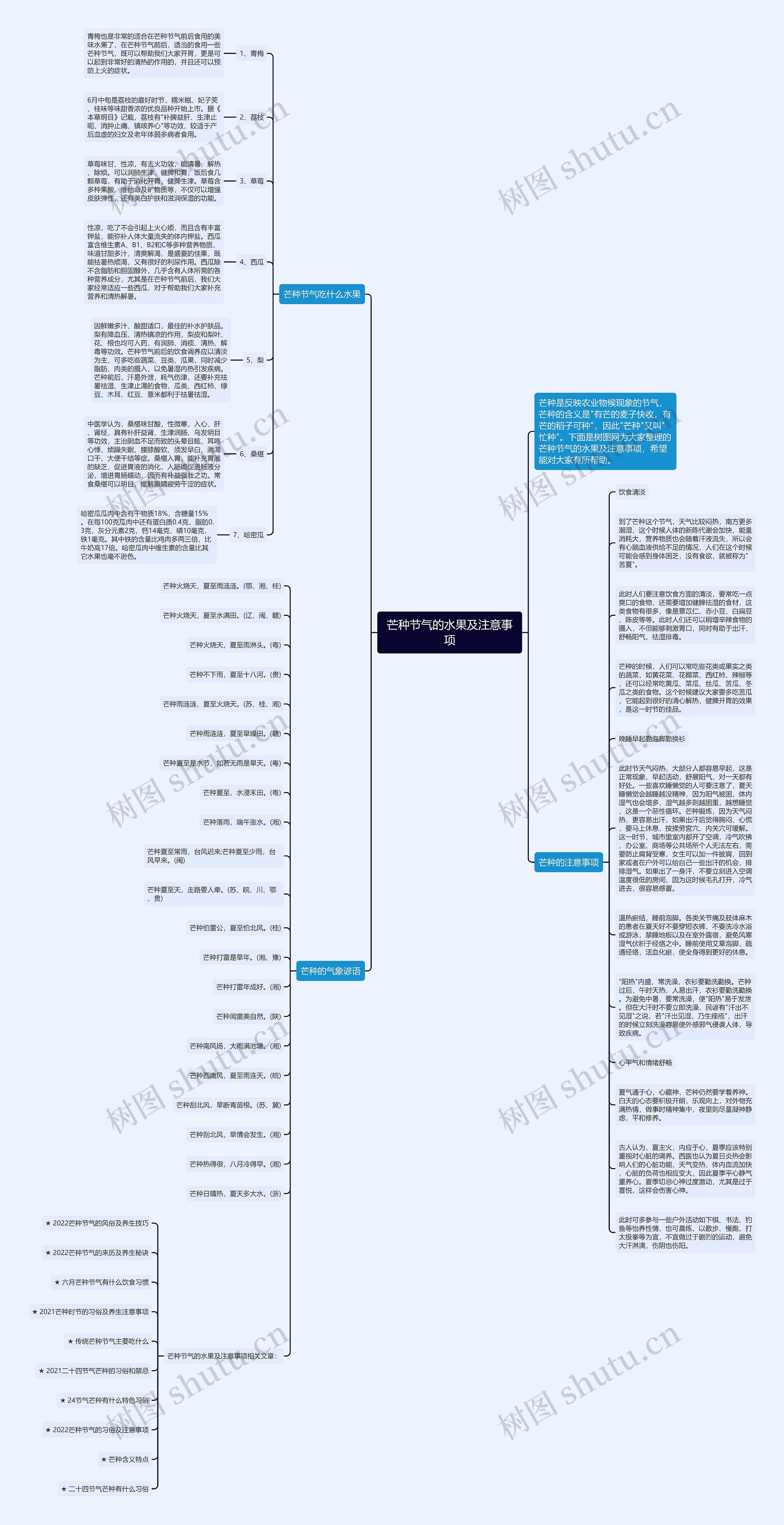 芒种节气的水果及注意事项思维导图