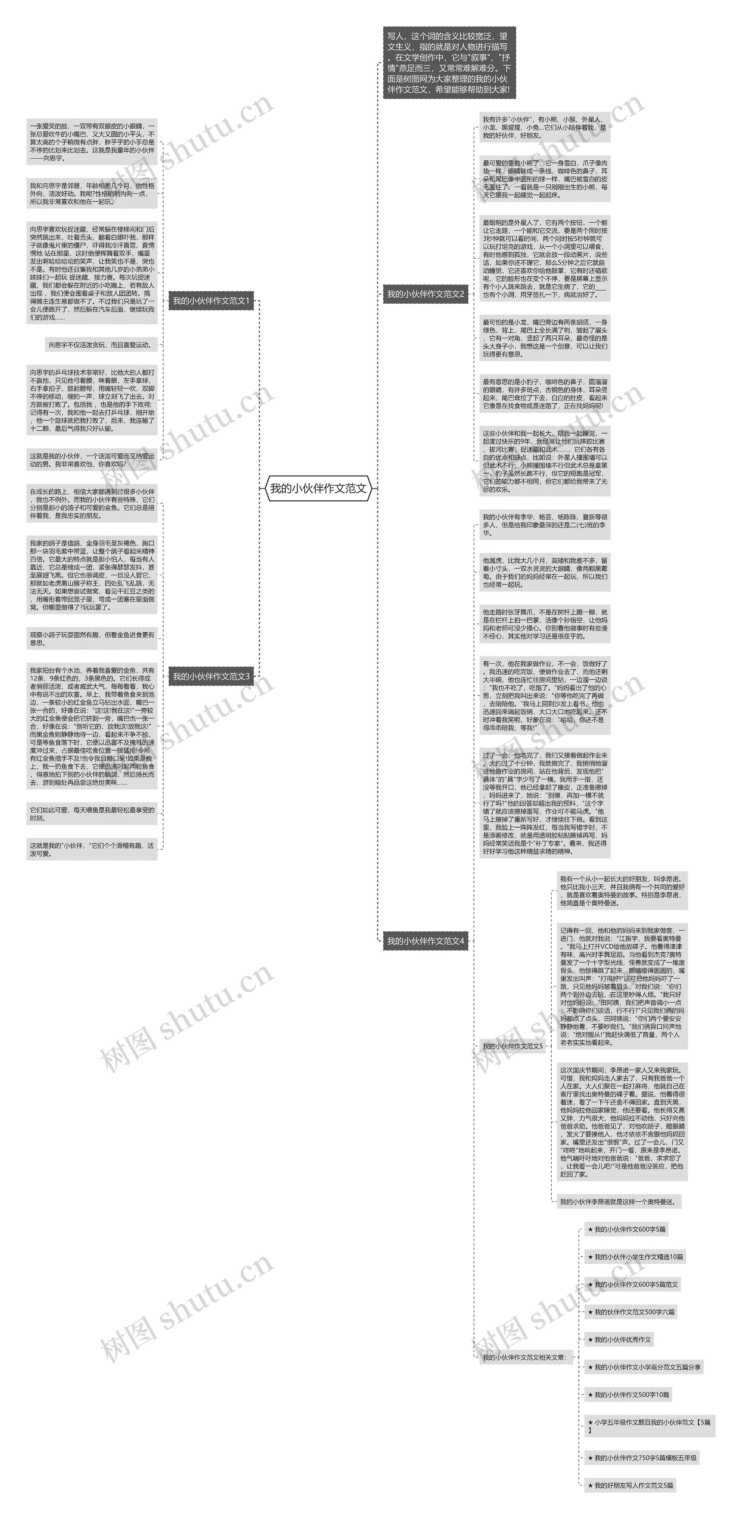 我的小伙伴作文范文思维导图