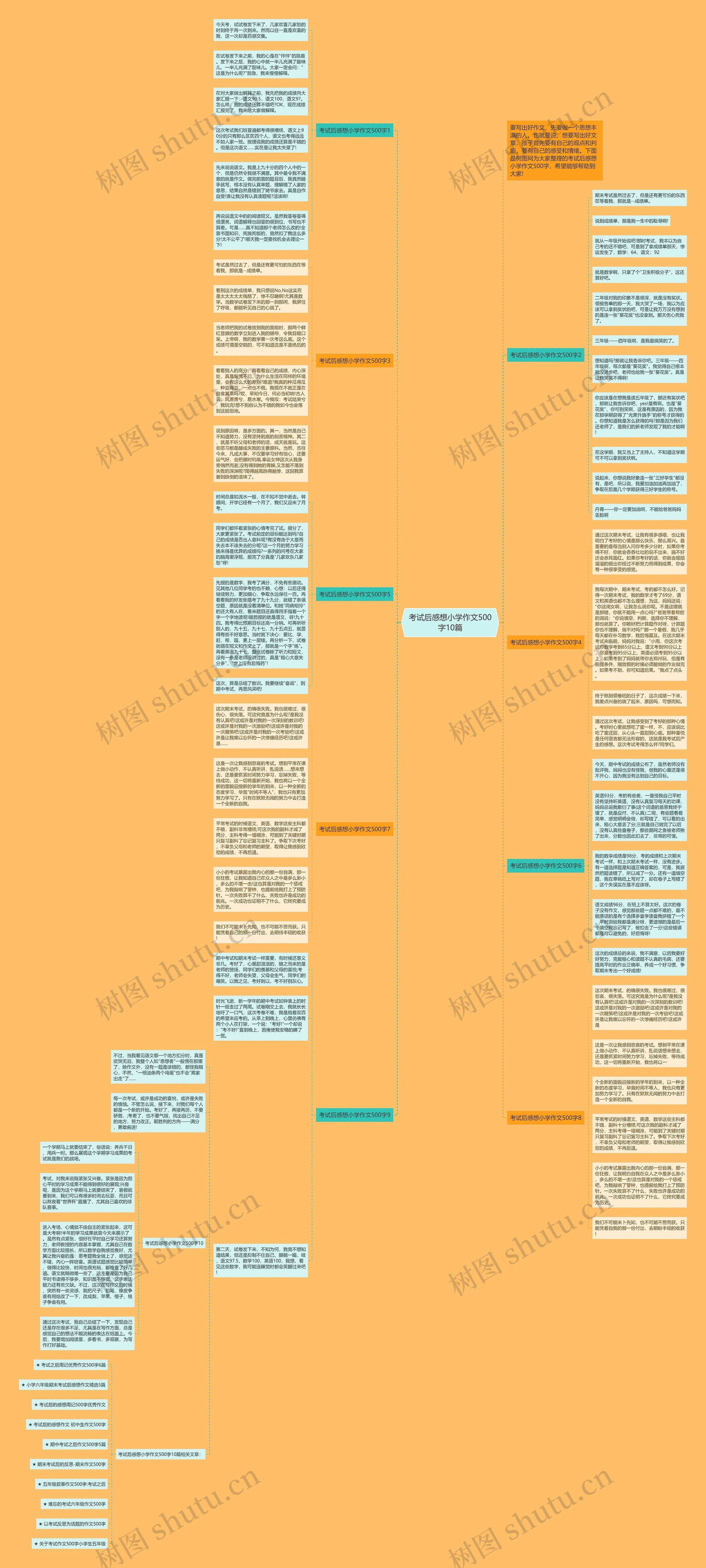 考试后感想小学作文500字10篇
