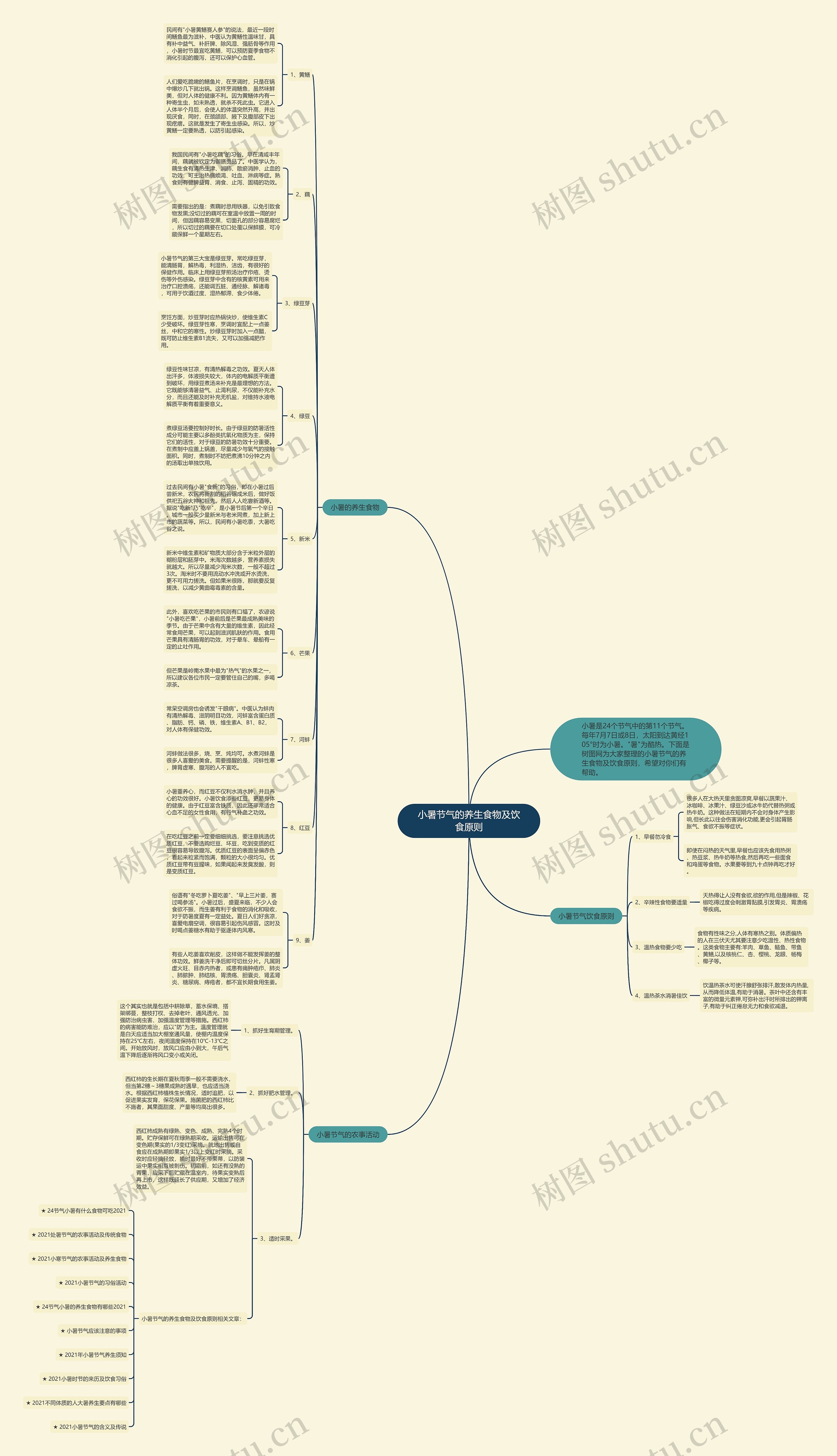 小暑节气的养生食物及饮食原则思维导图高清图 小暑节气的养生食物及饮食原则思维导图