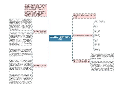 2023最新一期青年大学习答案