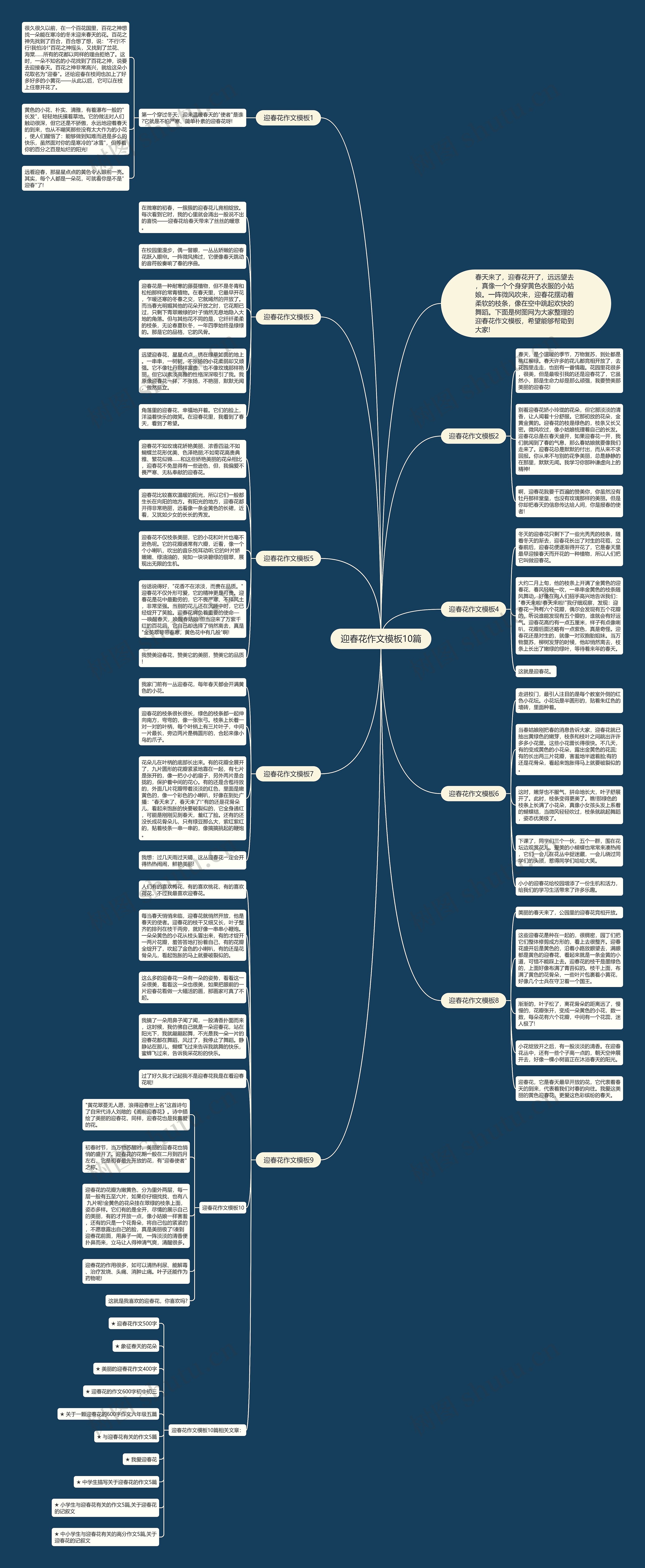 迎春花作文模板10篇