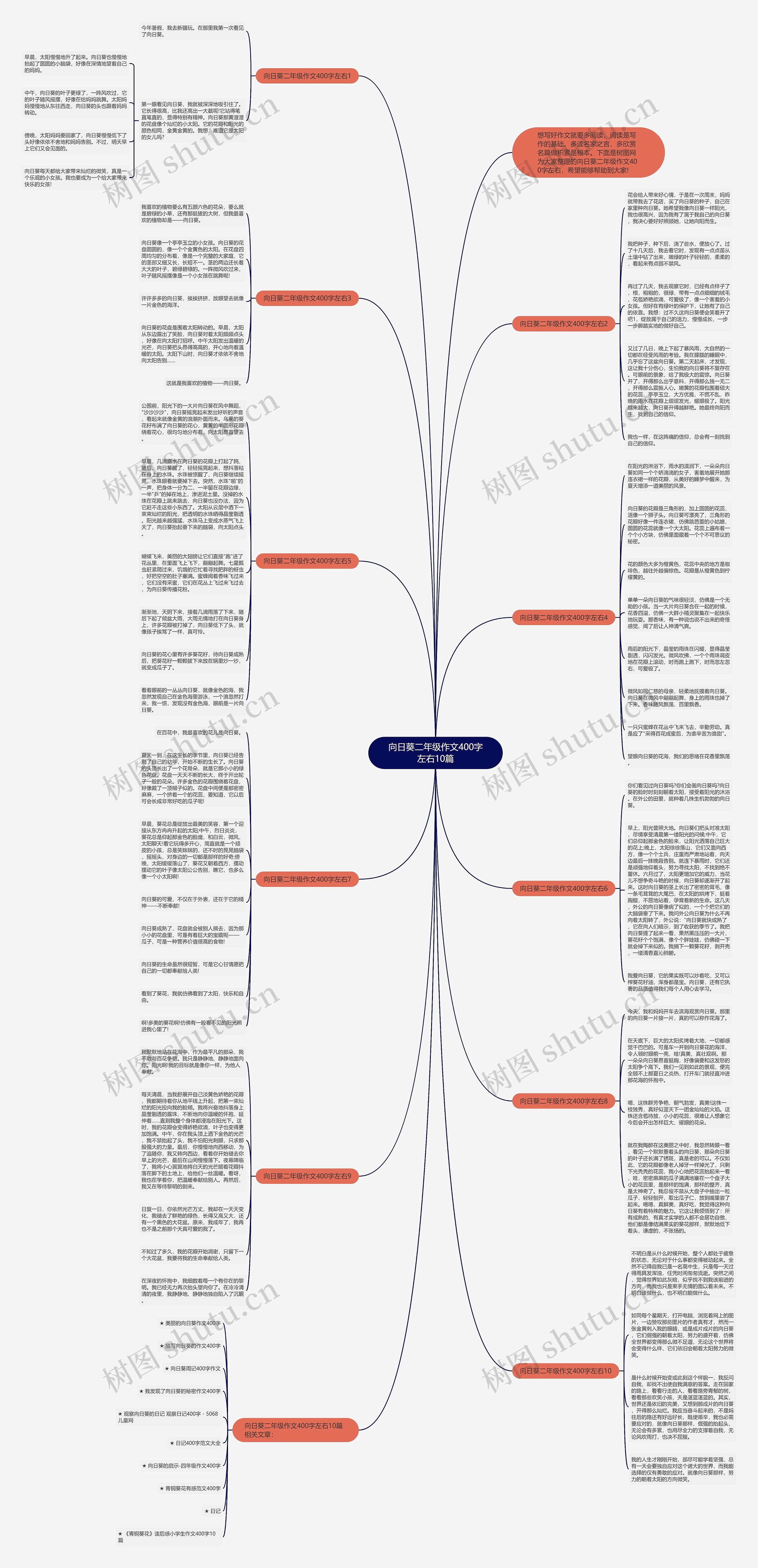 向日葵二年级作文400字左右10篇思维导图