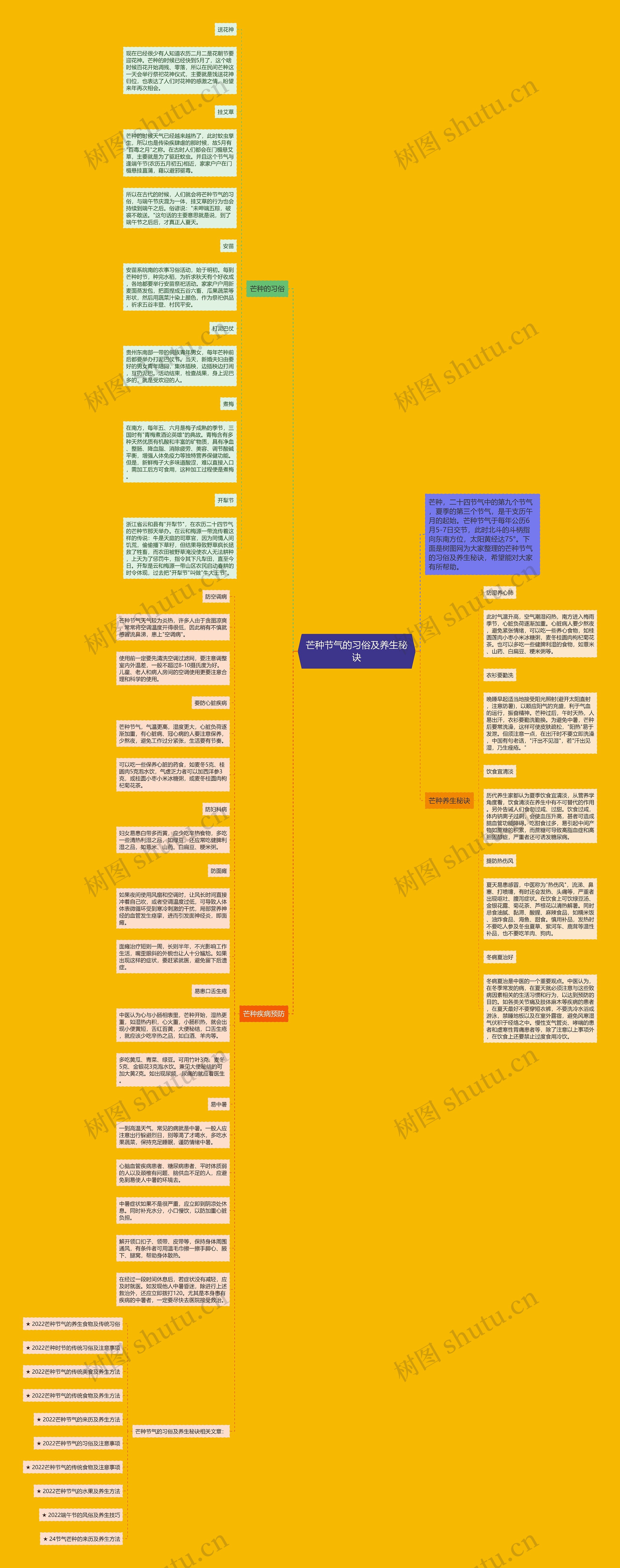 芒种节气的习俗及养生秘诀思维导图