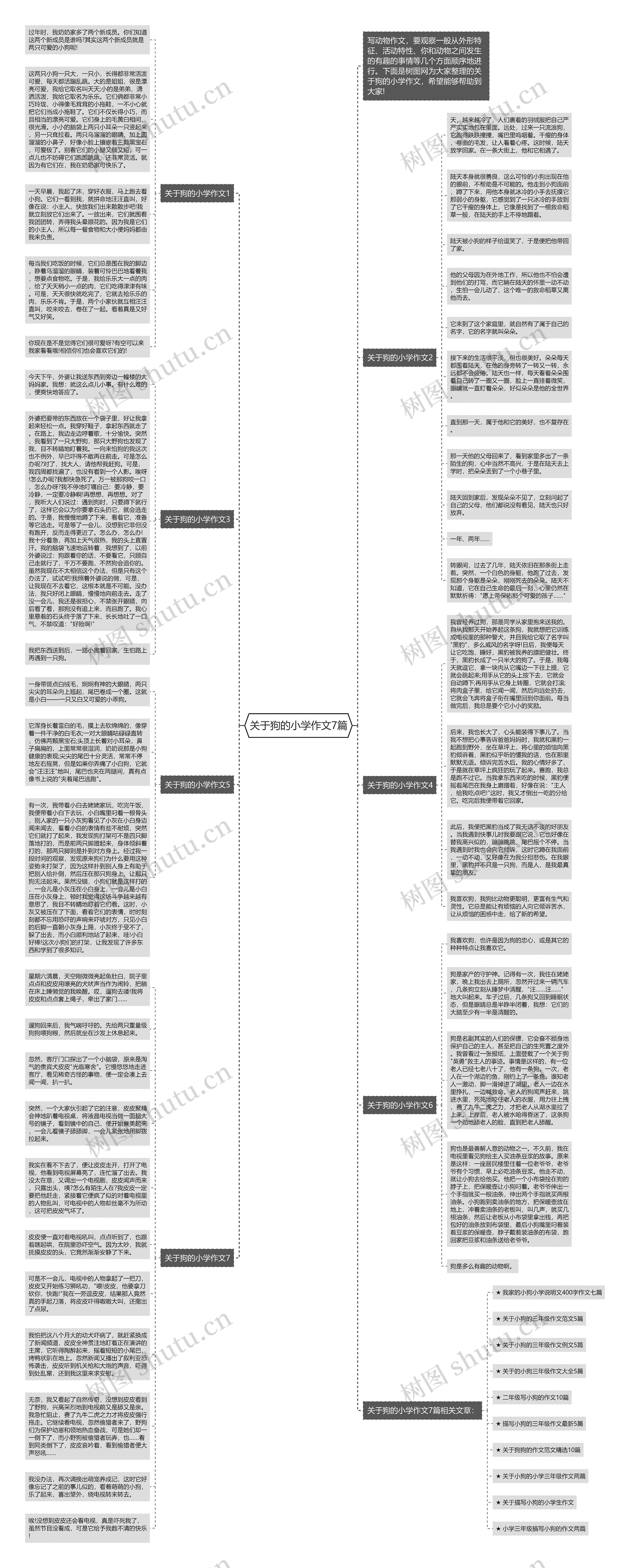 关于狗的小学作文7篇思维导图