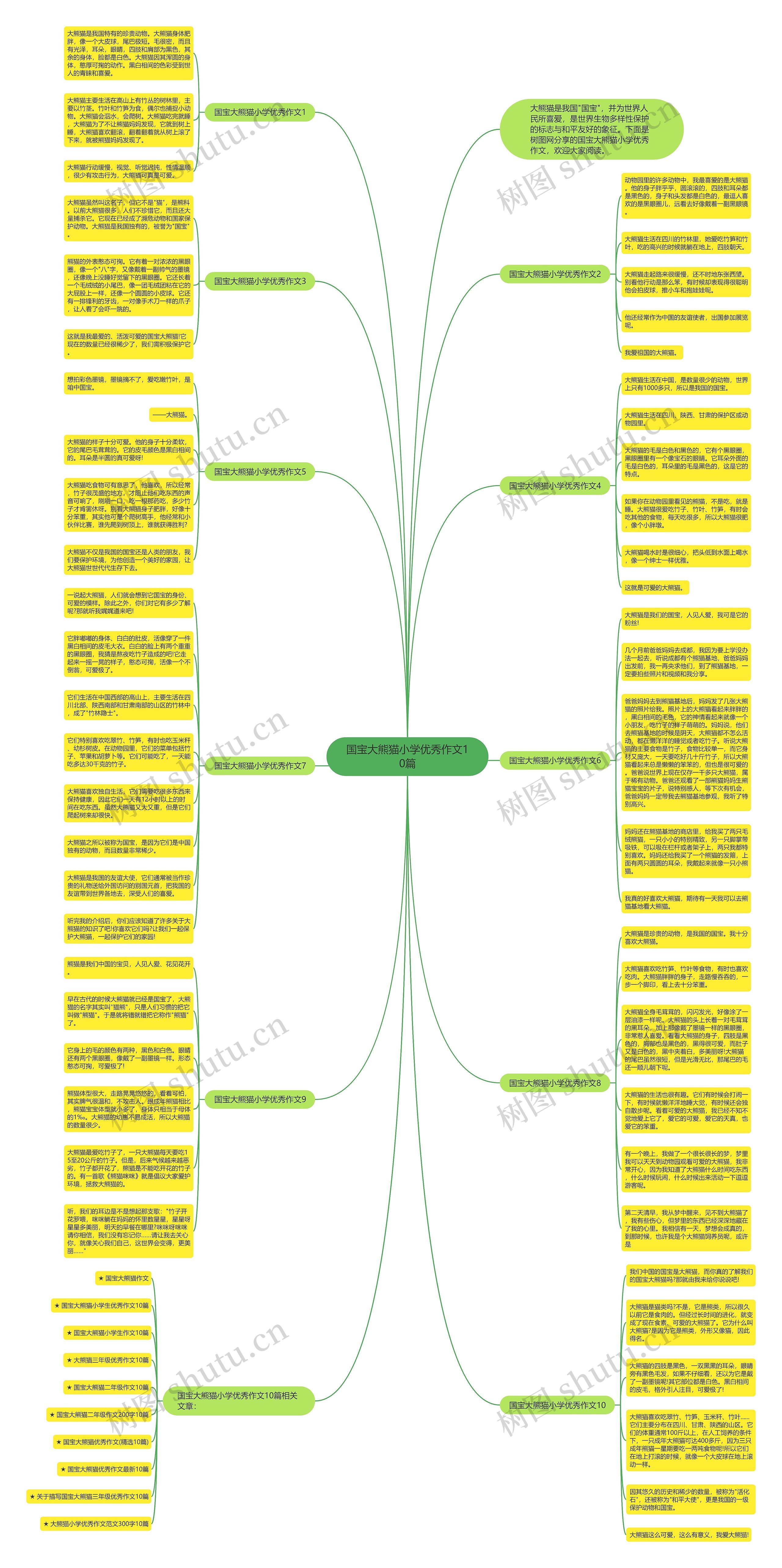 国宝大熊猫小学优秀作文10篇思维导图