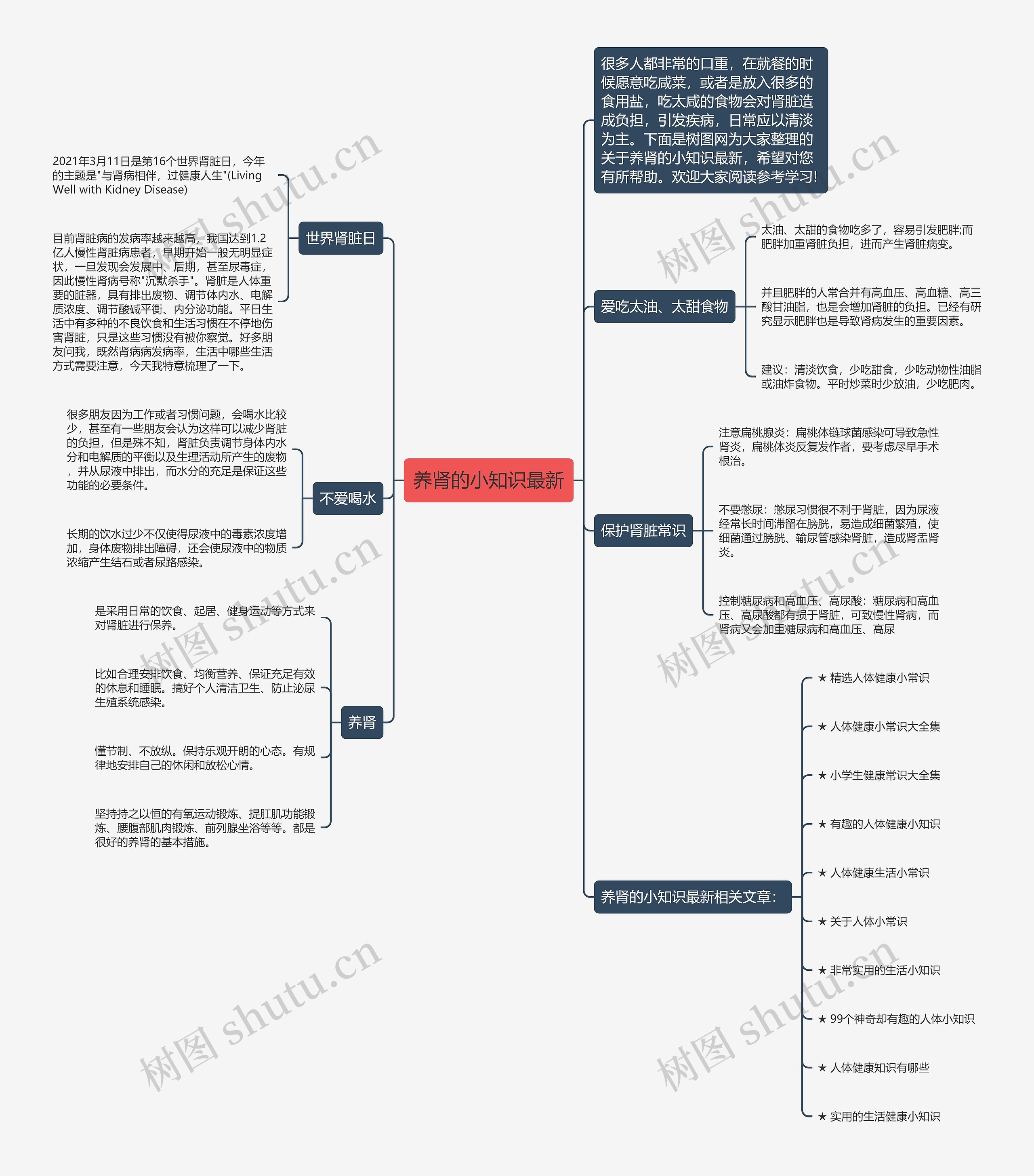 养肾的小知识最新思维导图