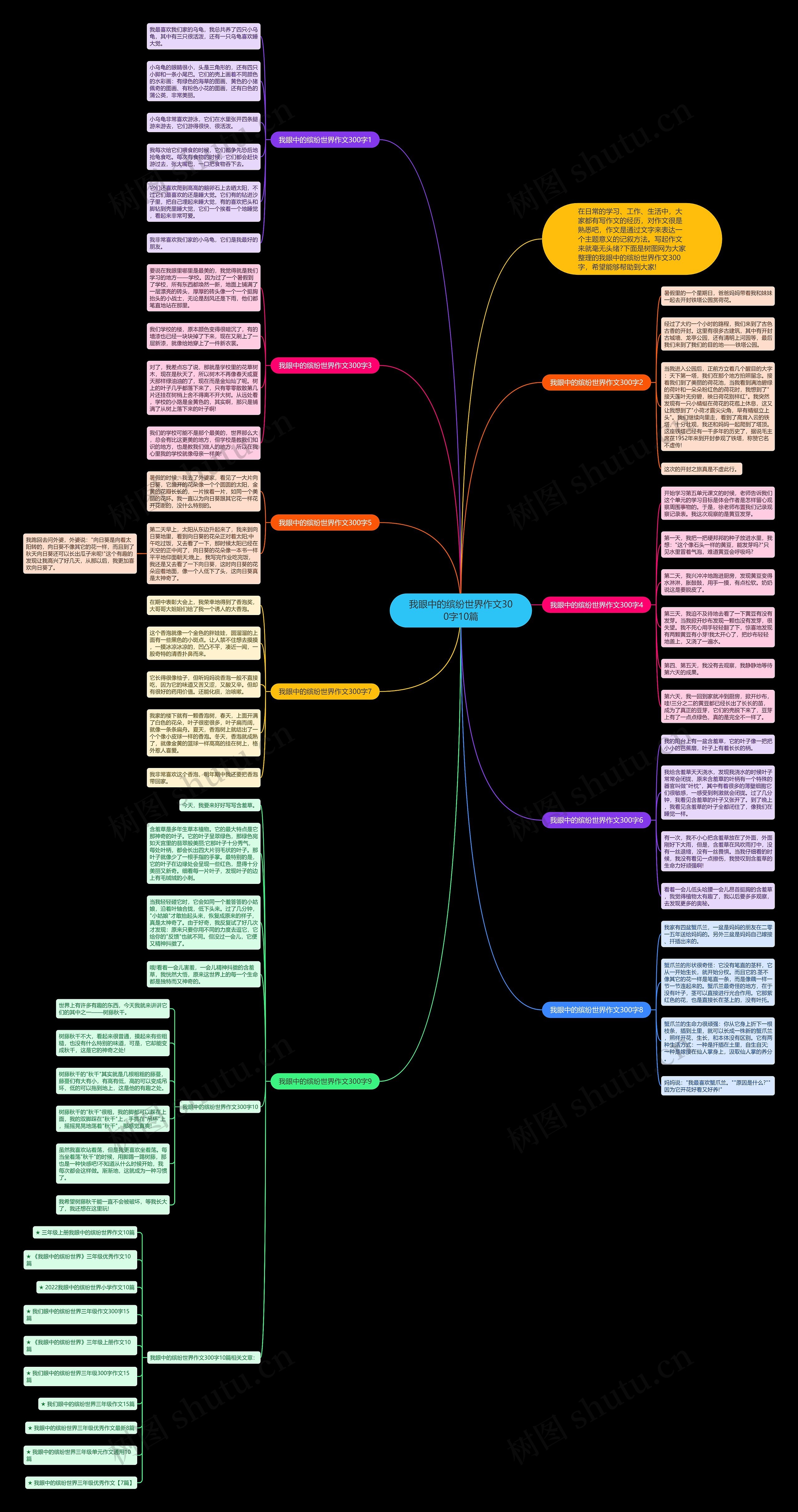 我眼中的缤纷世界作文300字10篇思维导图