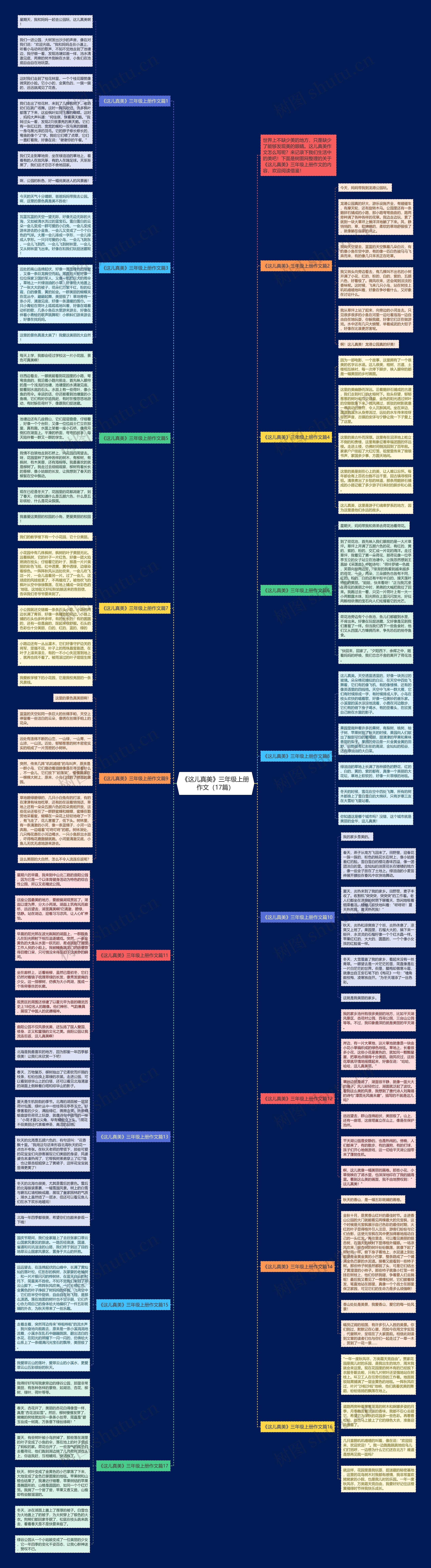 《这儿真美》三年级上册作文（17篇）思维导图