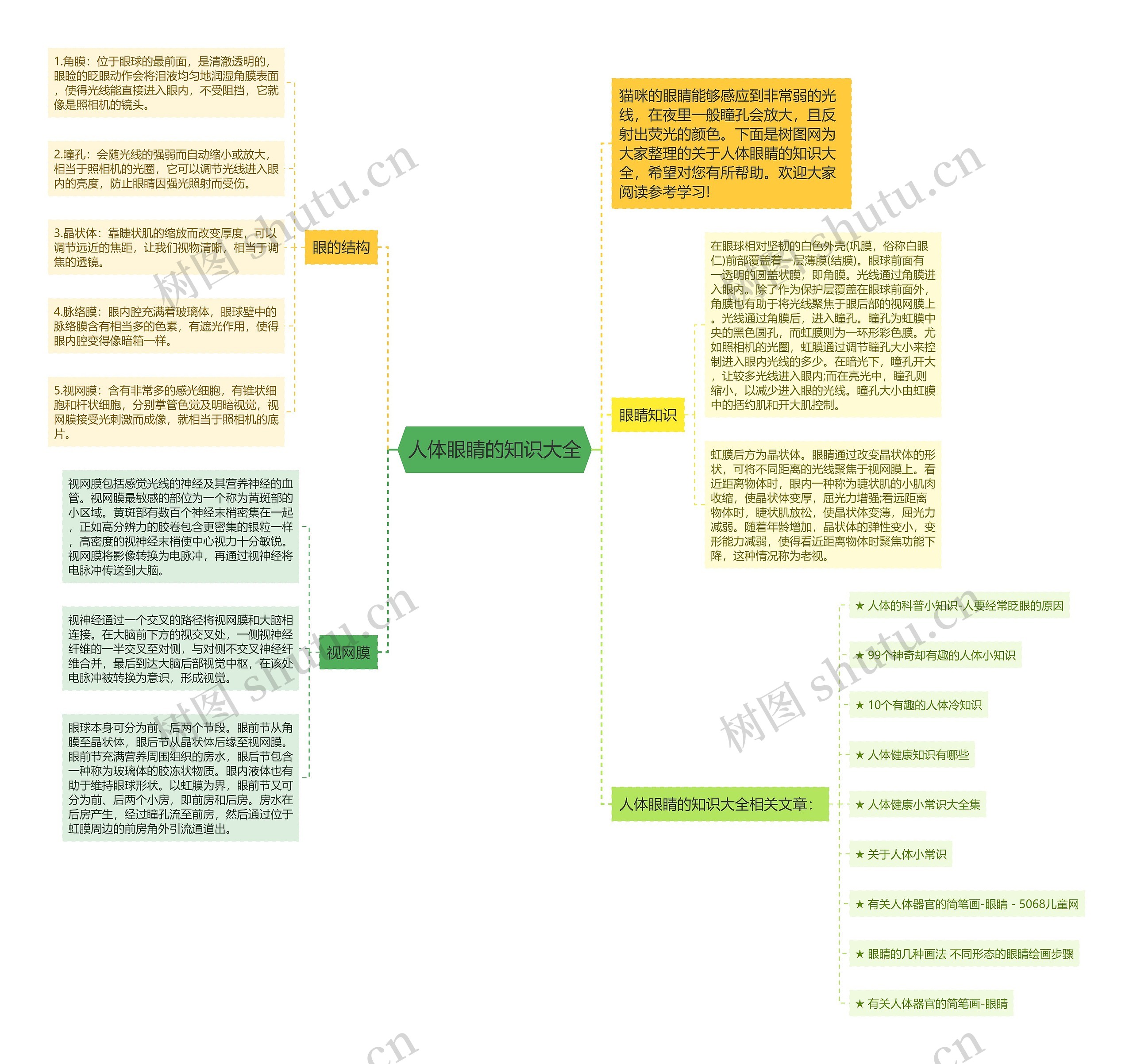 人体眼睛的知识大全思维导图