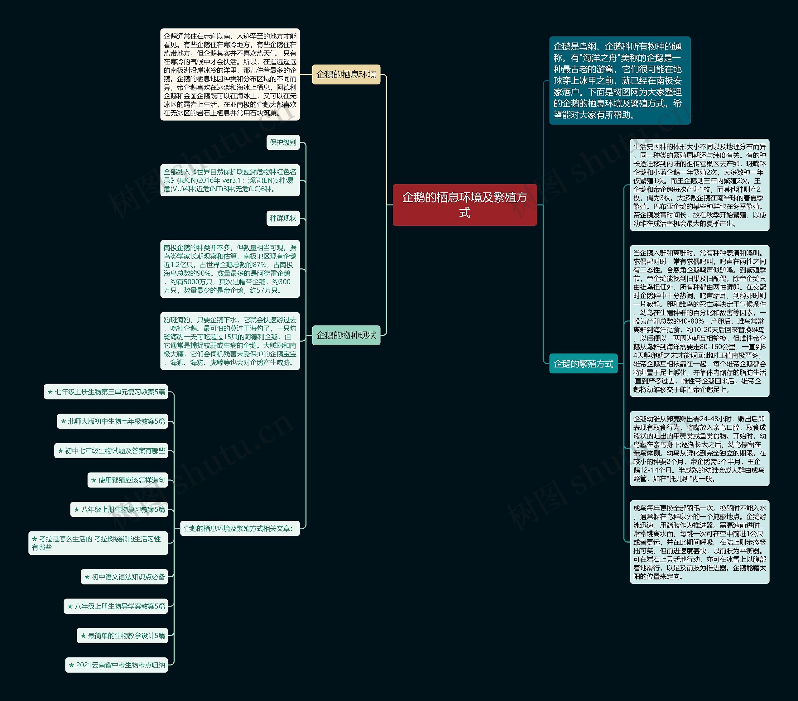 企鹅的栖息环境及繁殖方式思维导图