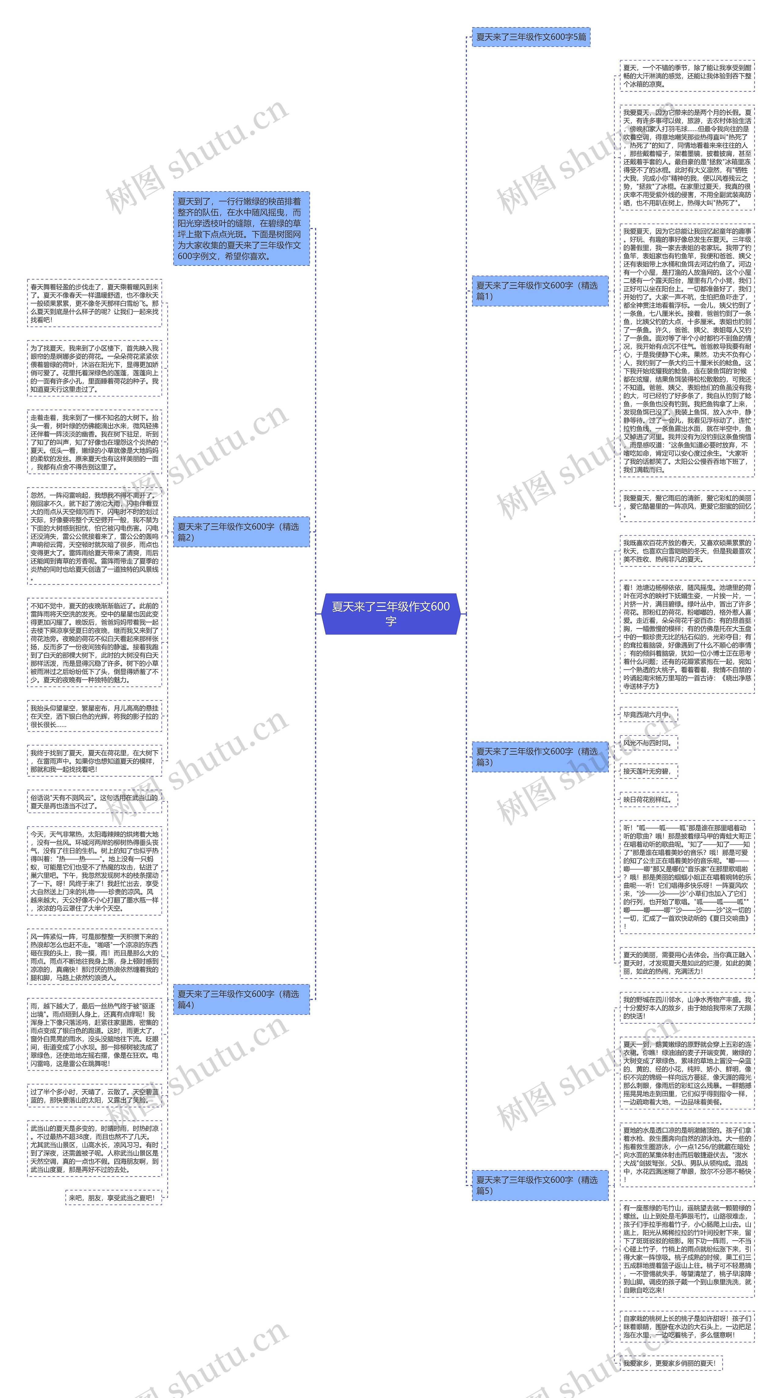 夏天来了三年级作文600字思维导图