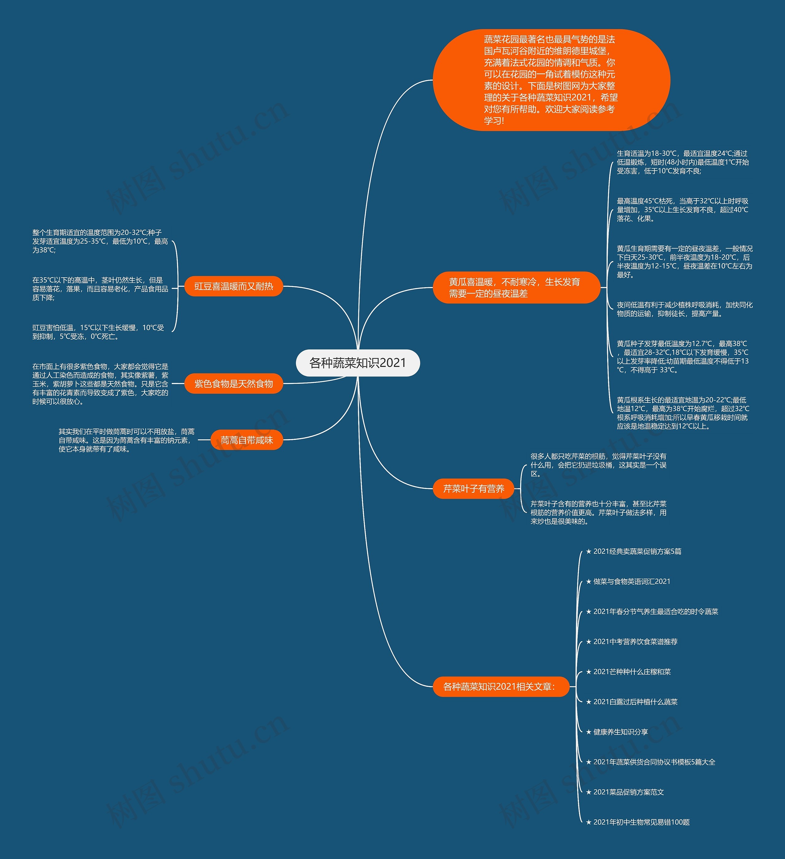 各种蔬菜知识2021思维导图