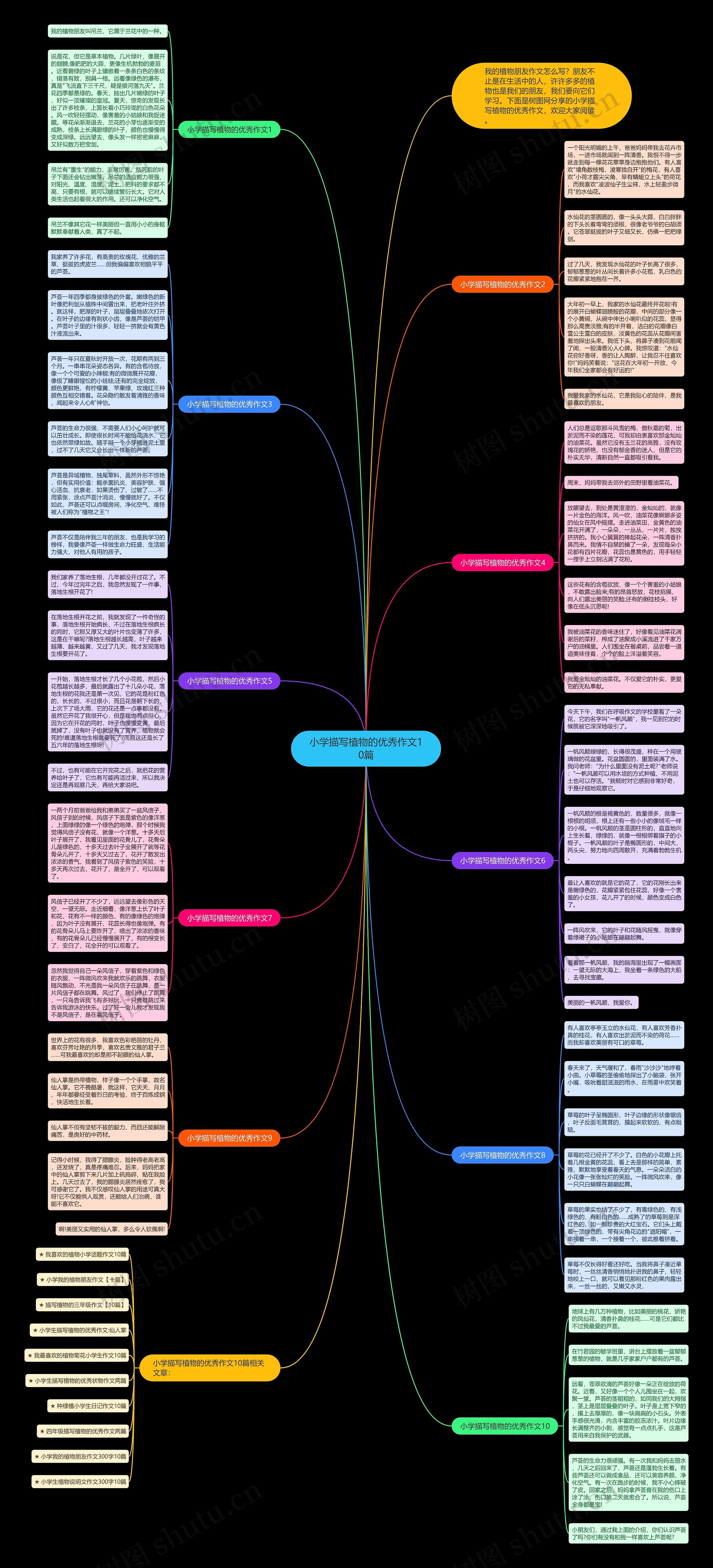 小学描写植物的优秀作文10篇思维导图